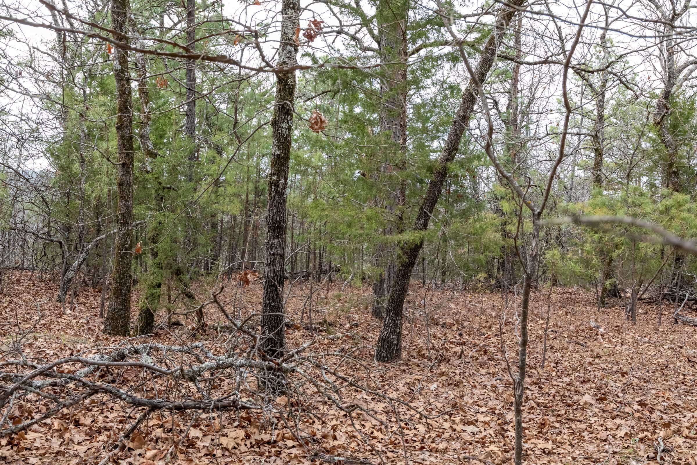 Stone Bridge Phase III Tract 162 photo 12