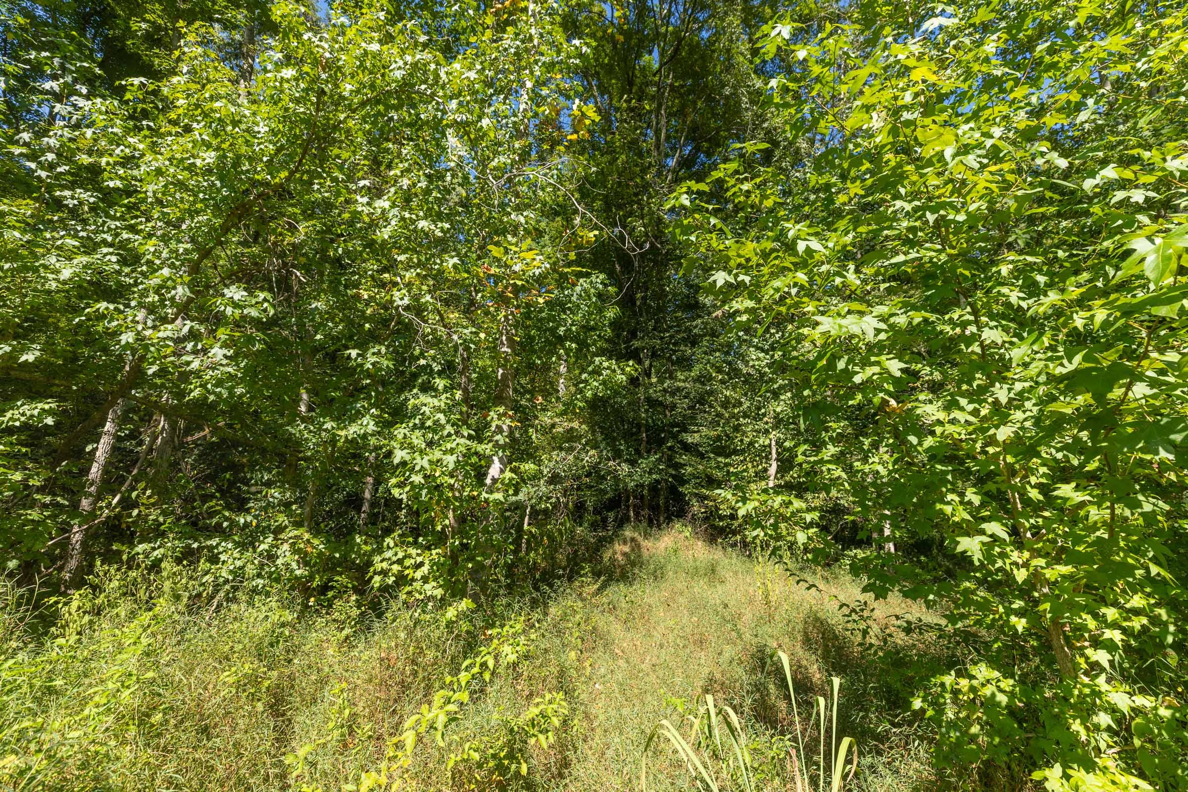 Big White Oak Tract 113 photo 13