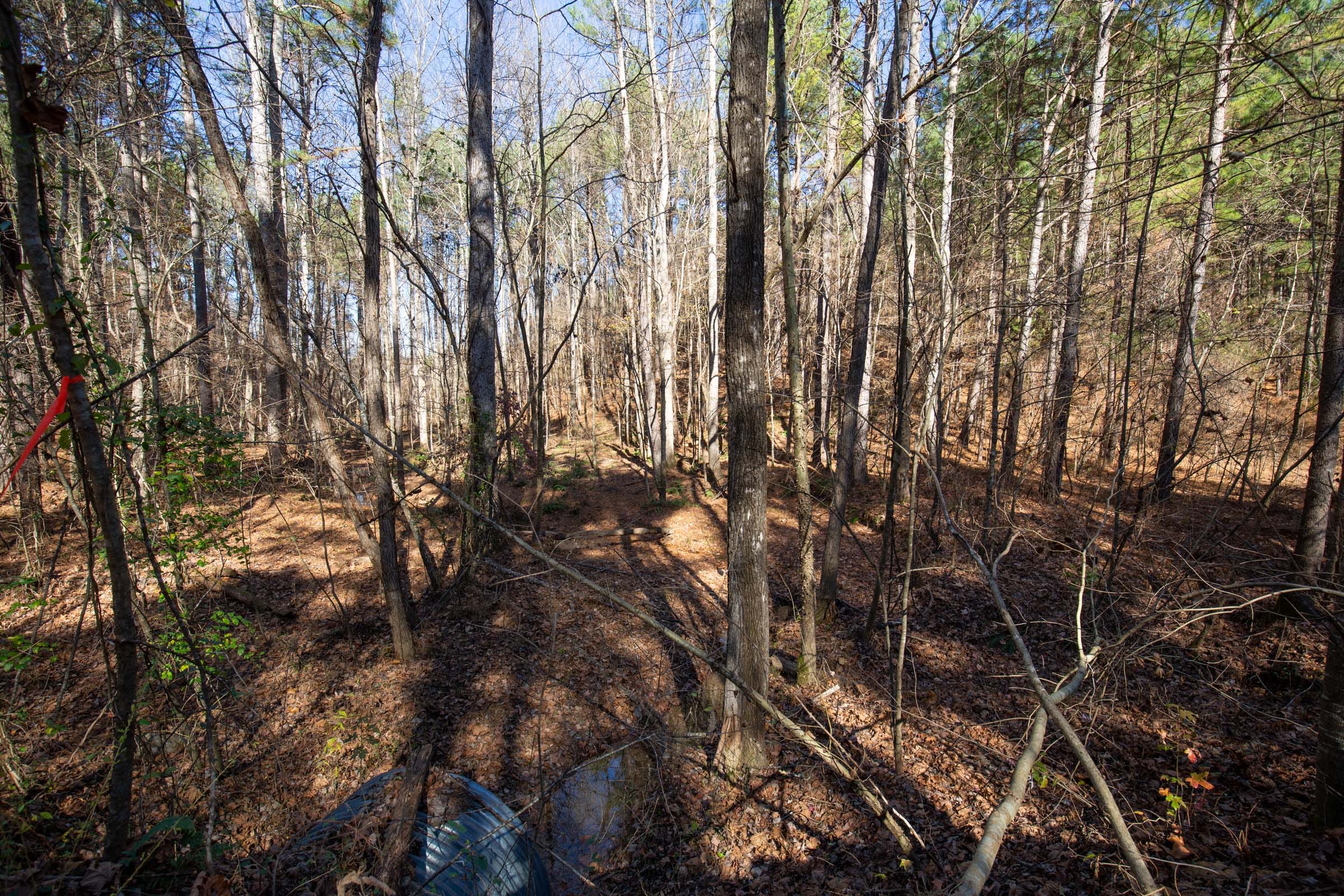Pine Ridge Tract 11 photo 2