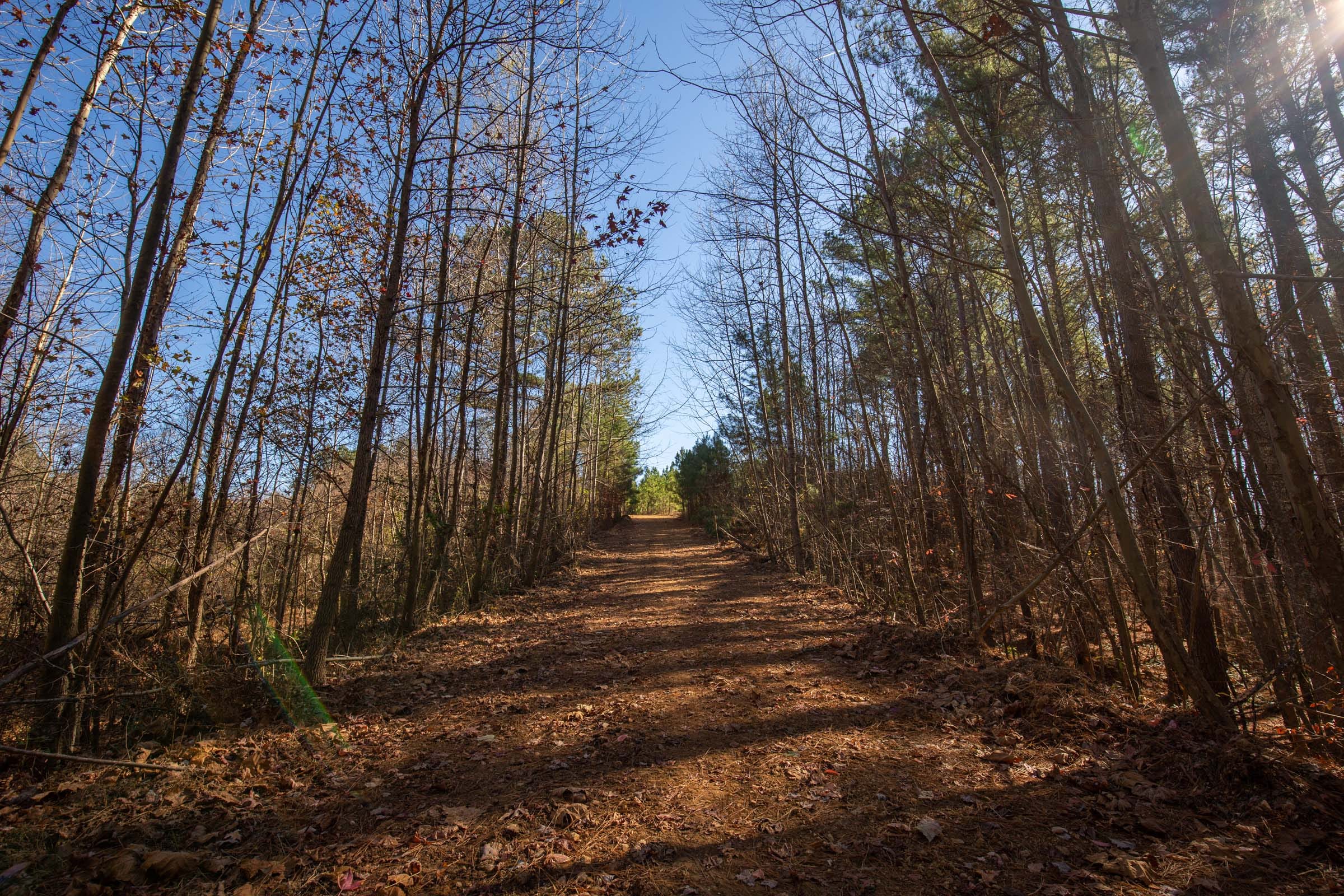 Pine Ridge Tract 11 photo 1
