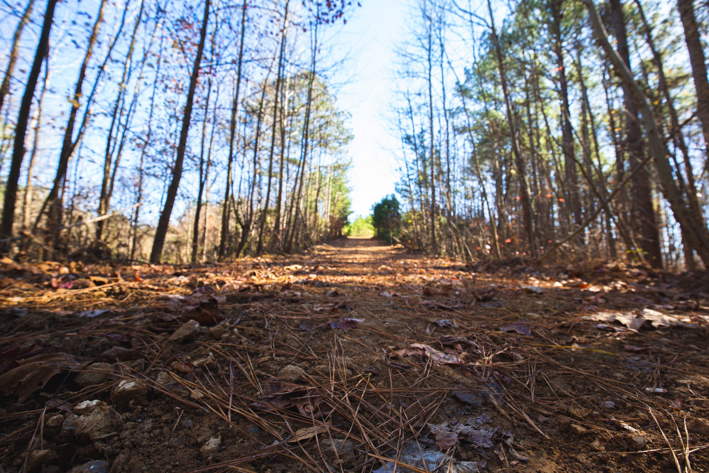 Pine Ridge Tract 11 photo 3