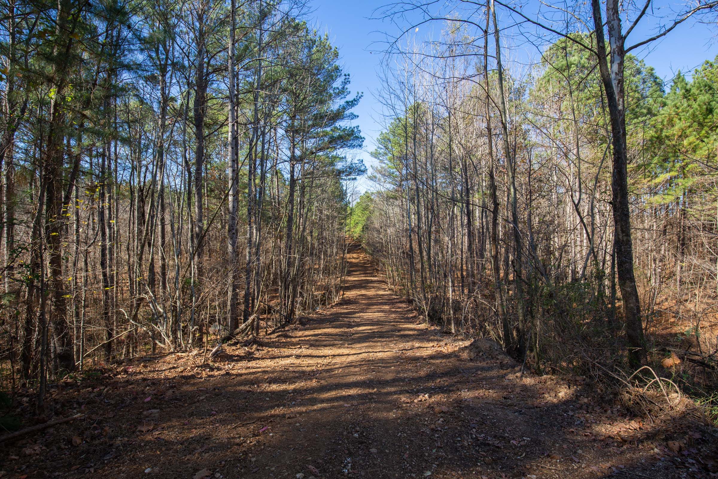 Pine Ridge Tract 11 photo 6
