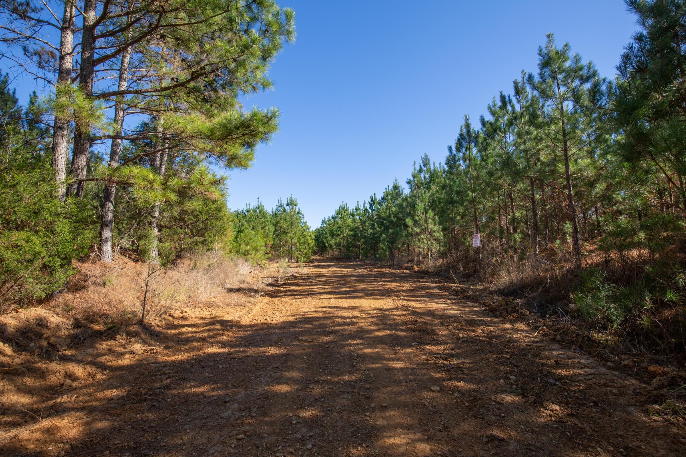 Pine Ridge Tract 11 photo 9