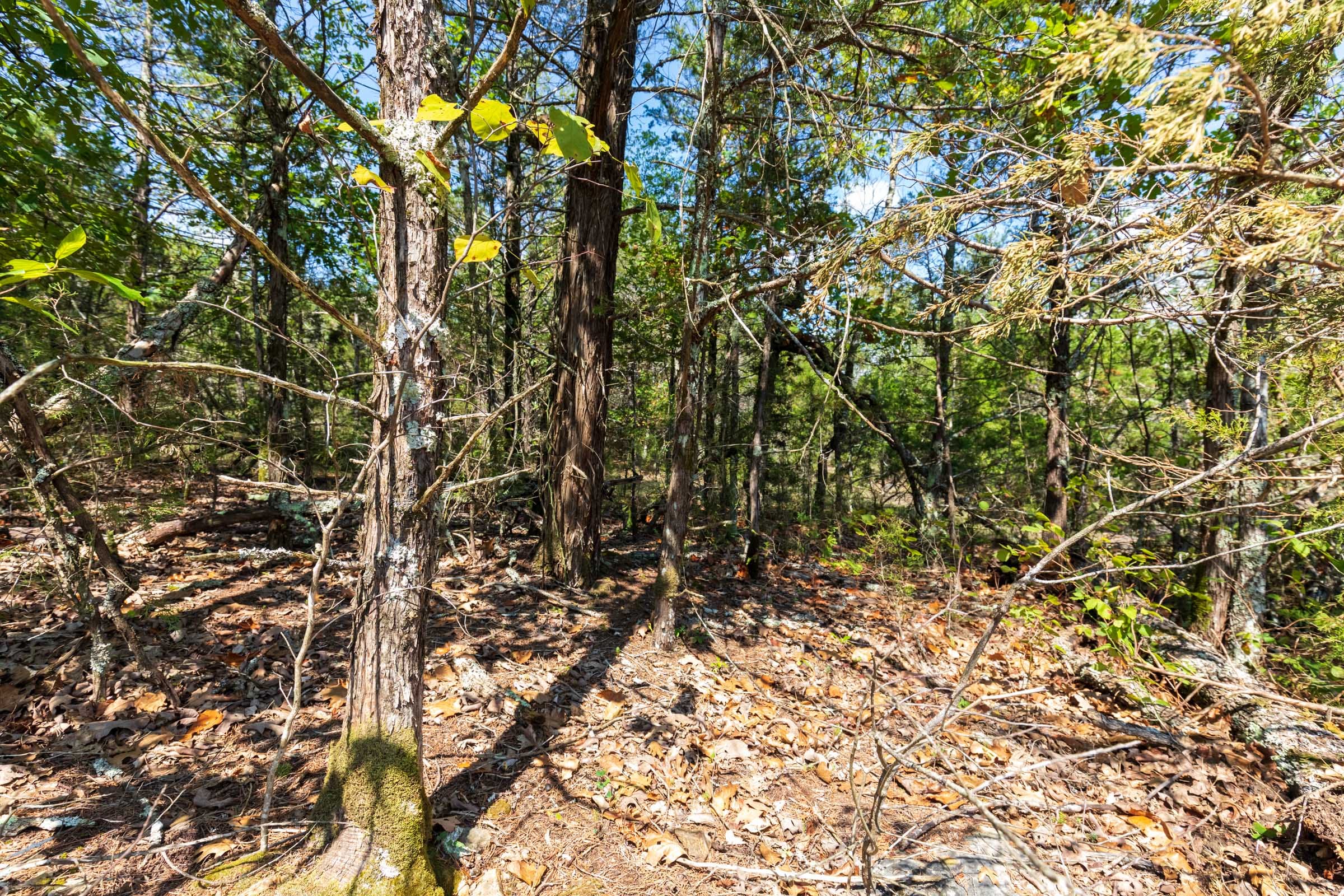 Heritage Bend Tract 30 photo 3
