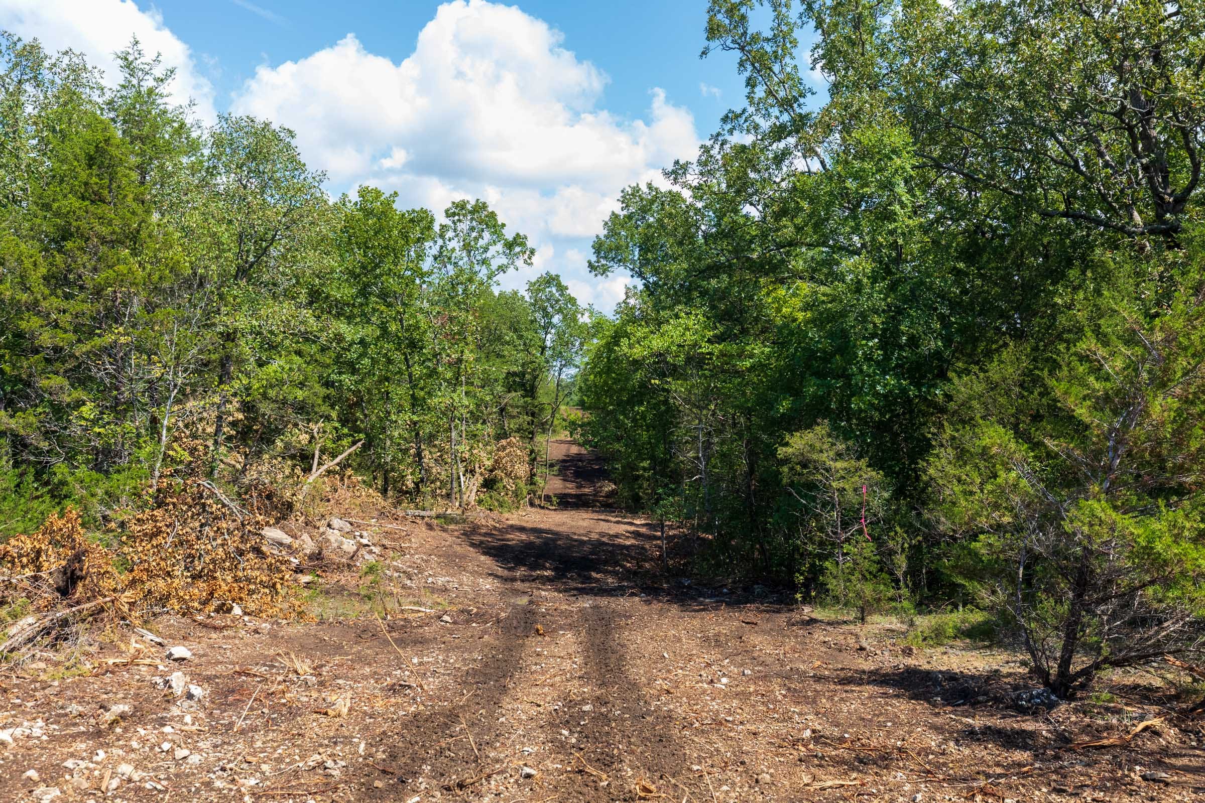 Heritage Bend Tract 30 photo 6