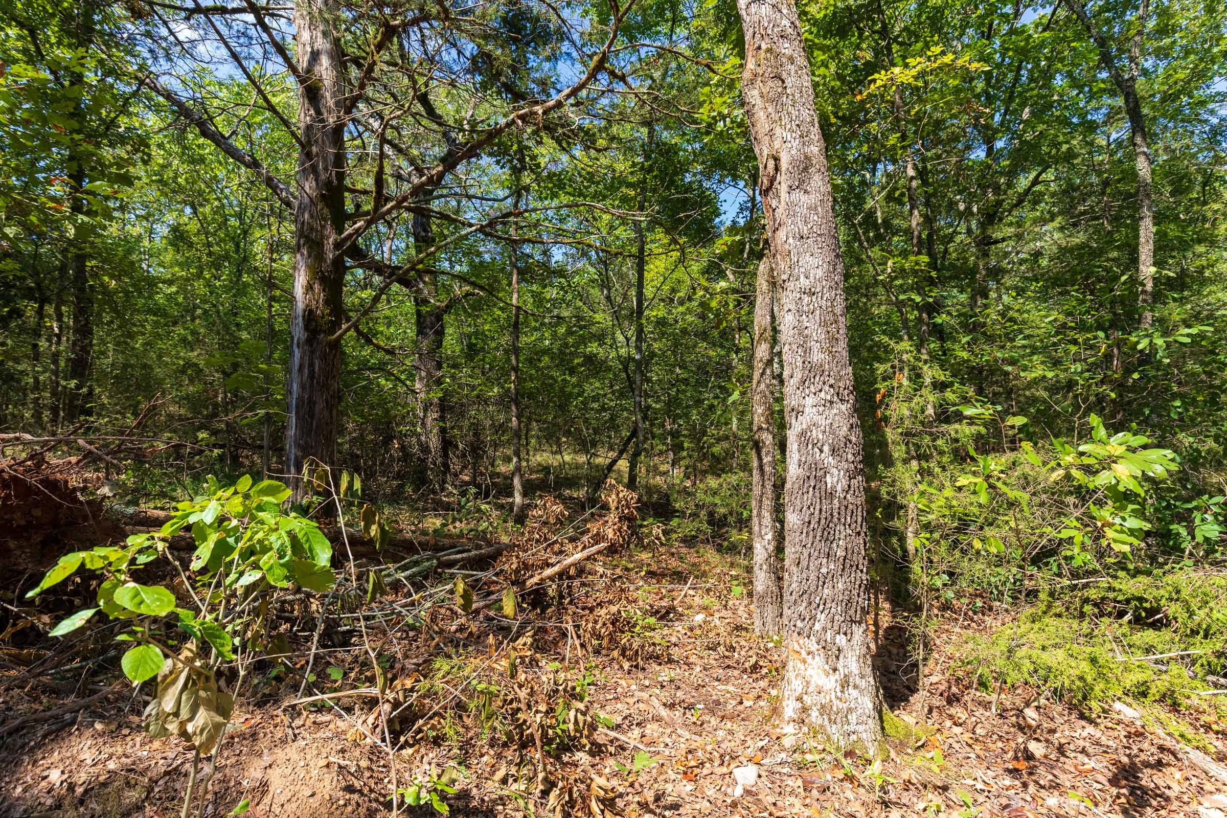 Heritage Bend Tract 30 photo 4