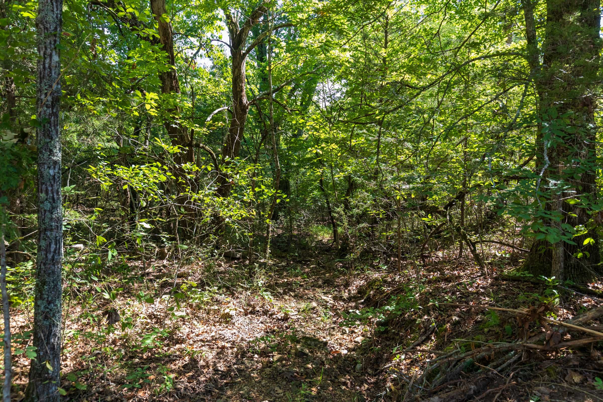 Heritage Bend Tract 30 photo 5