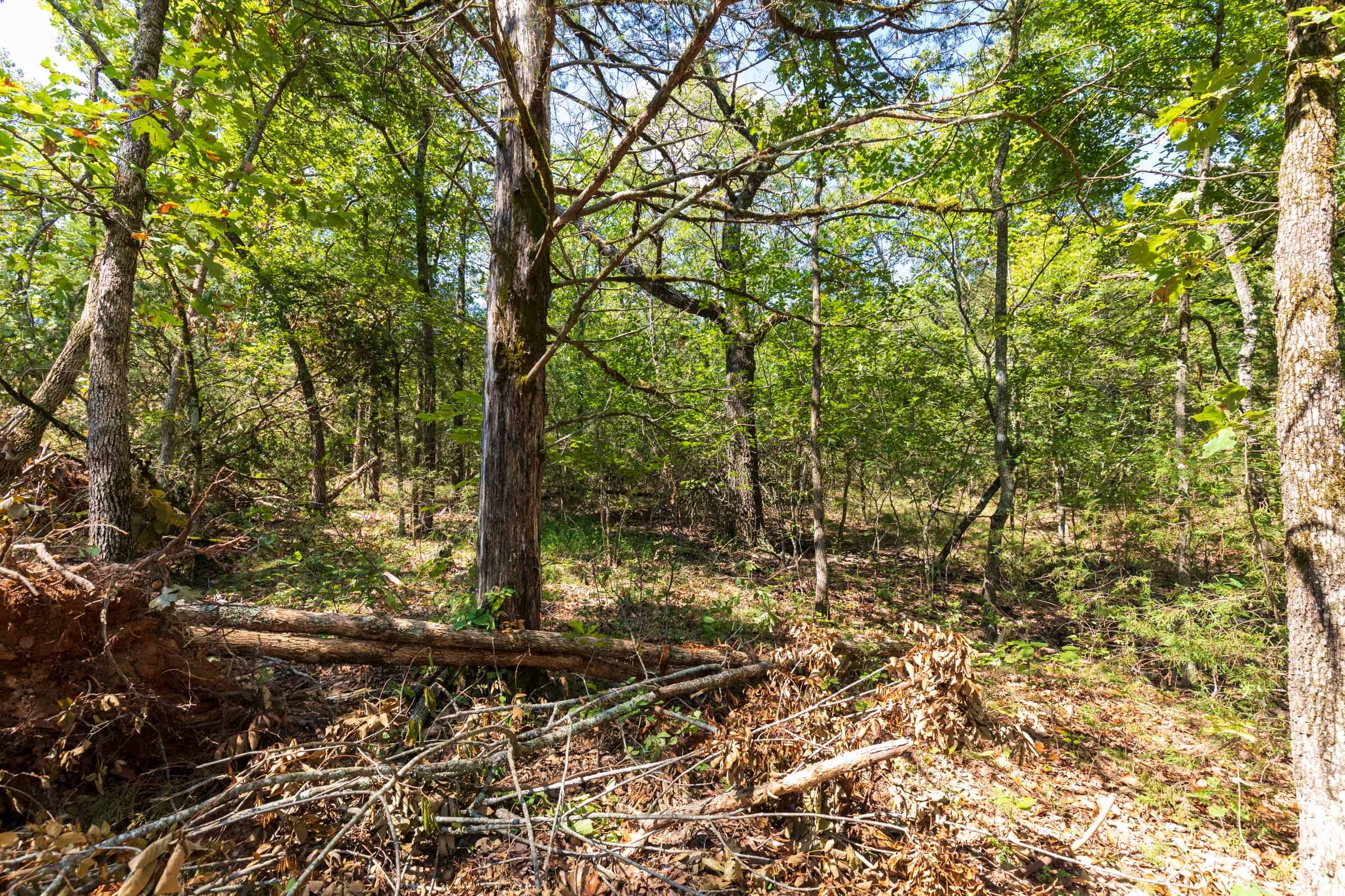 Heritage Bend Tract 30 photo 7