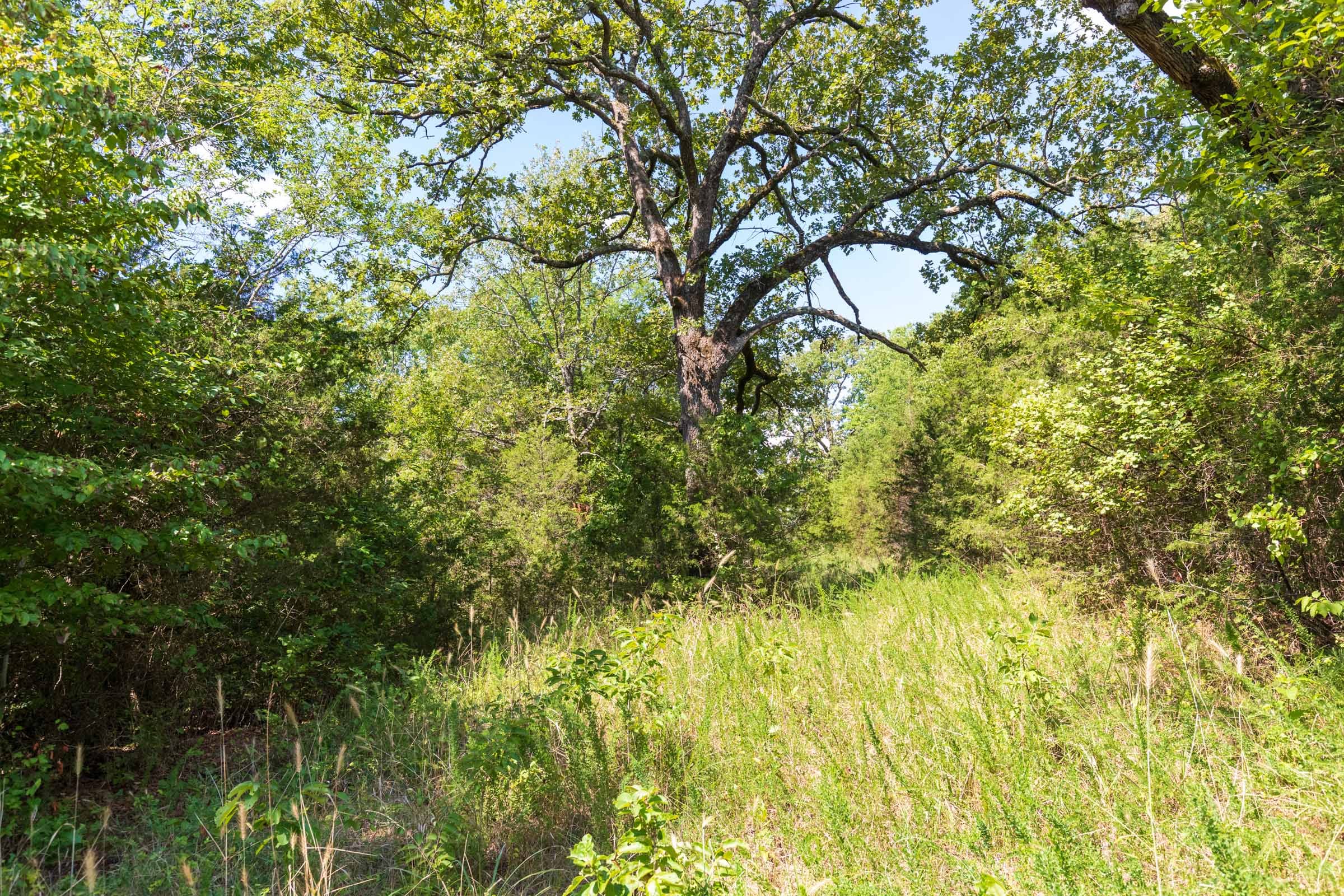 Heritage Bend Tract 30 photo 8