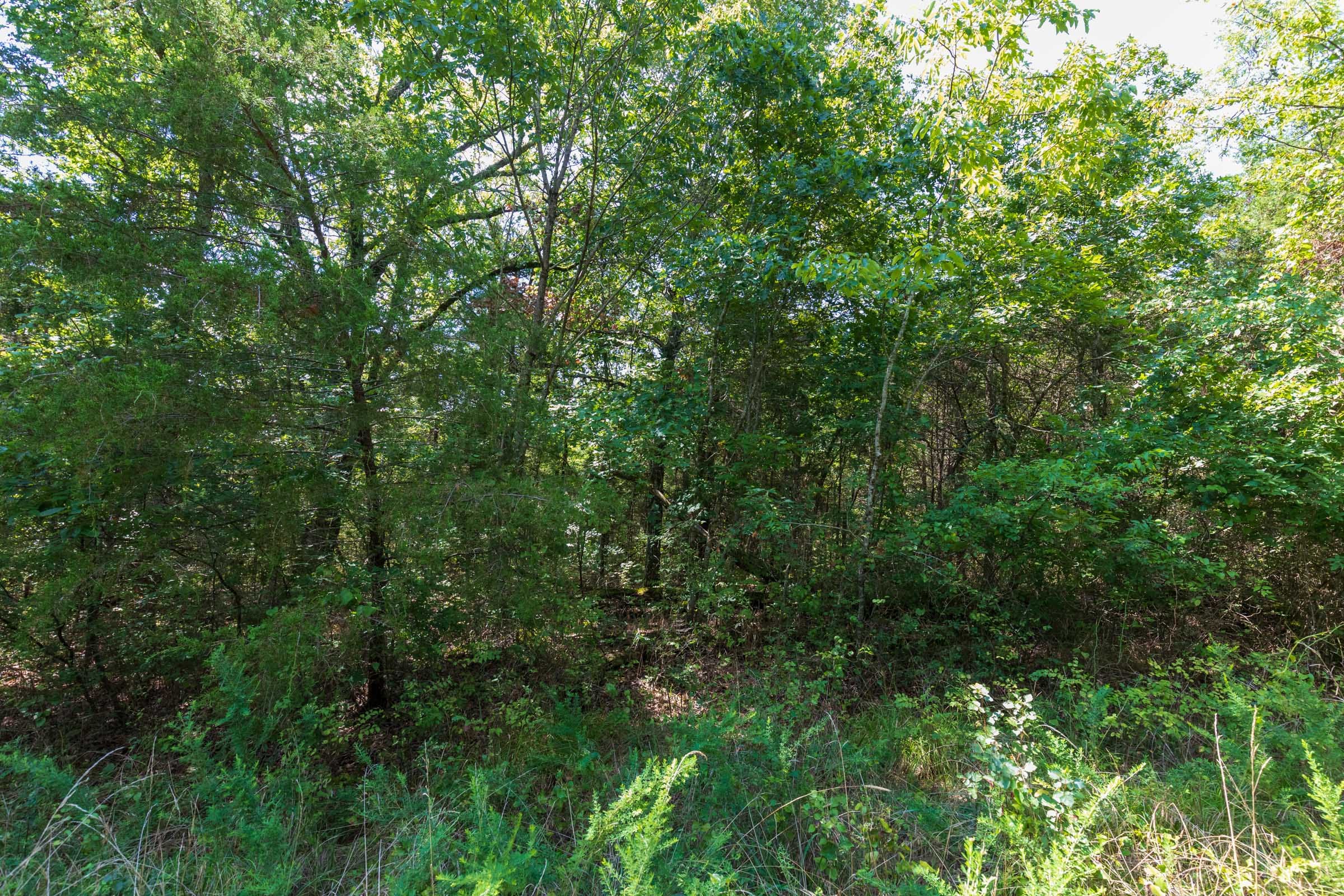 Heritage Bend Tract 30 photo 9