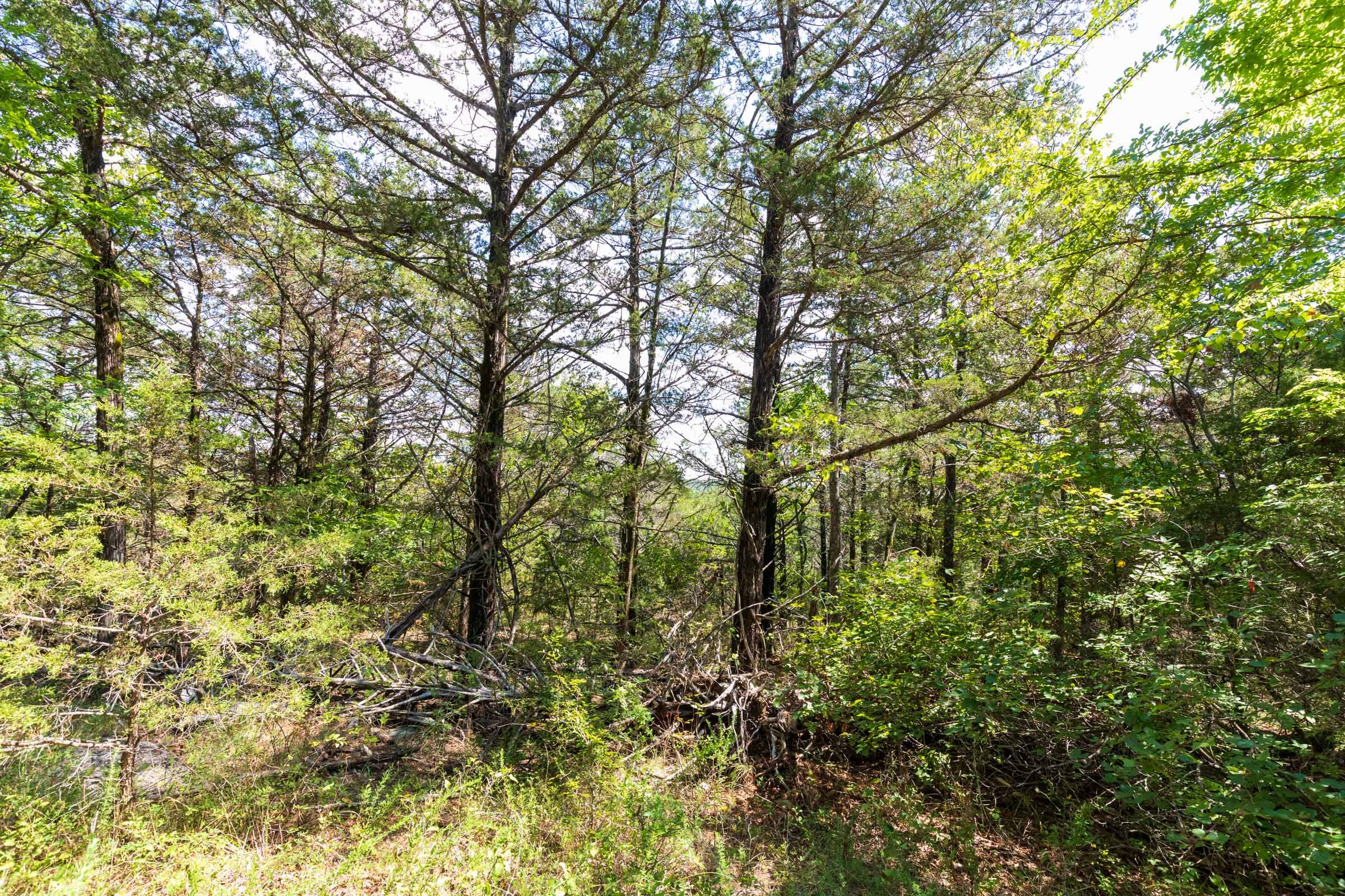 Heritage Bend Tract 30 photo 11