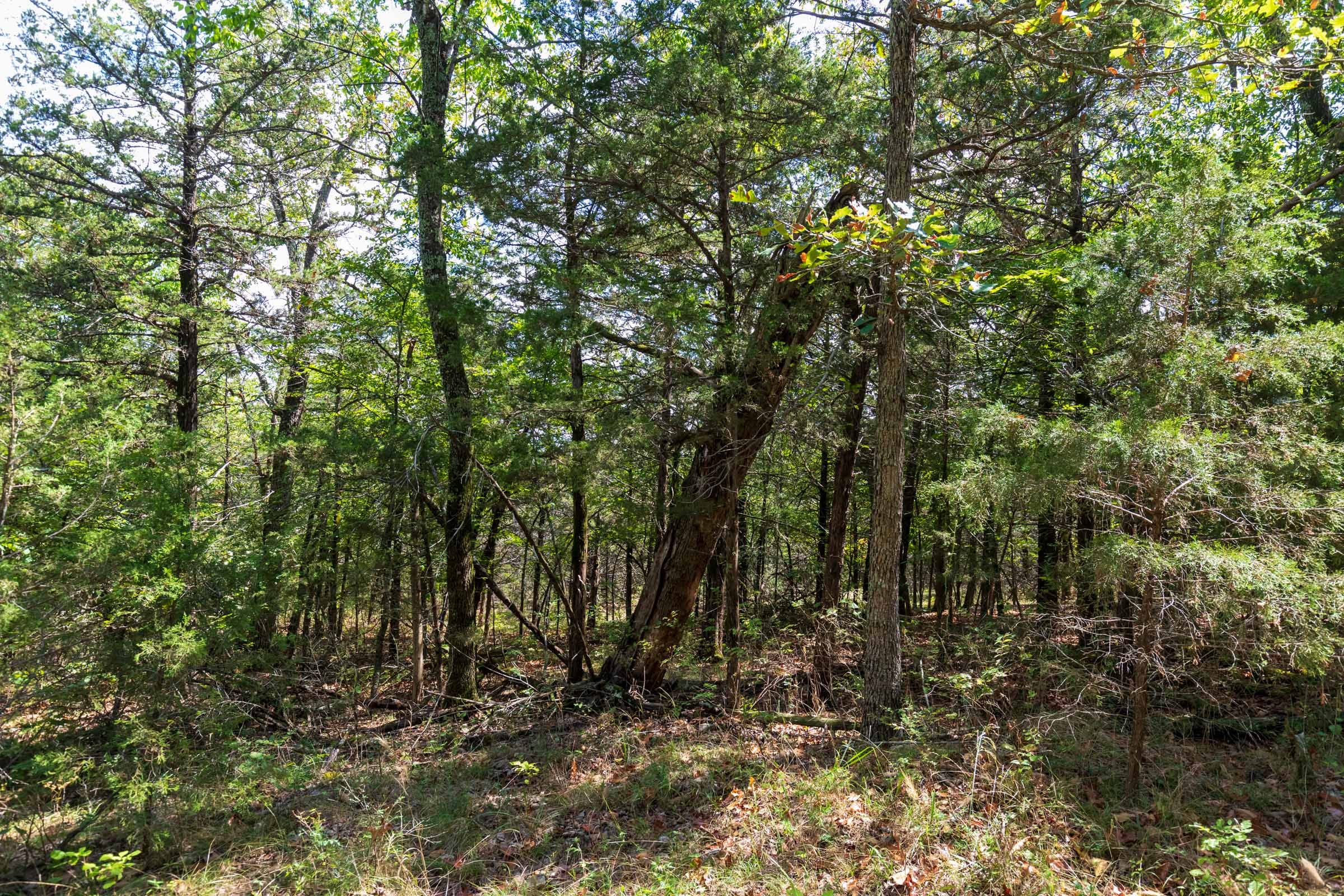Heritage Bend Tract 30 photo 12