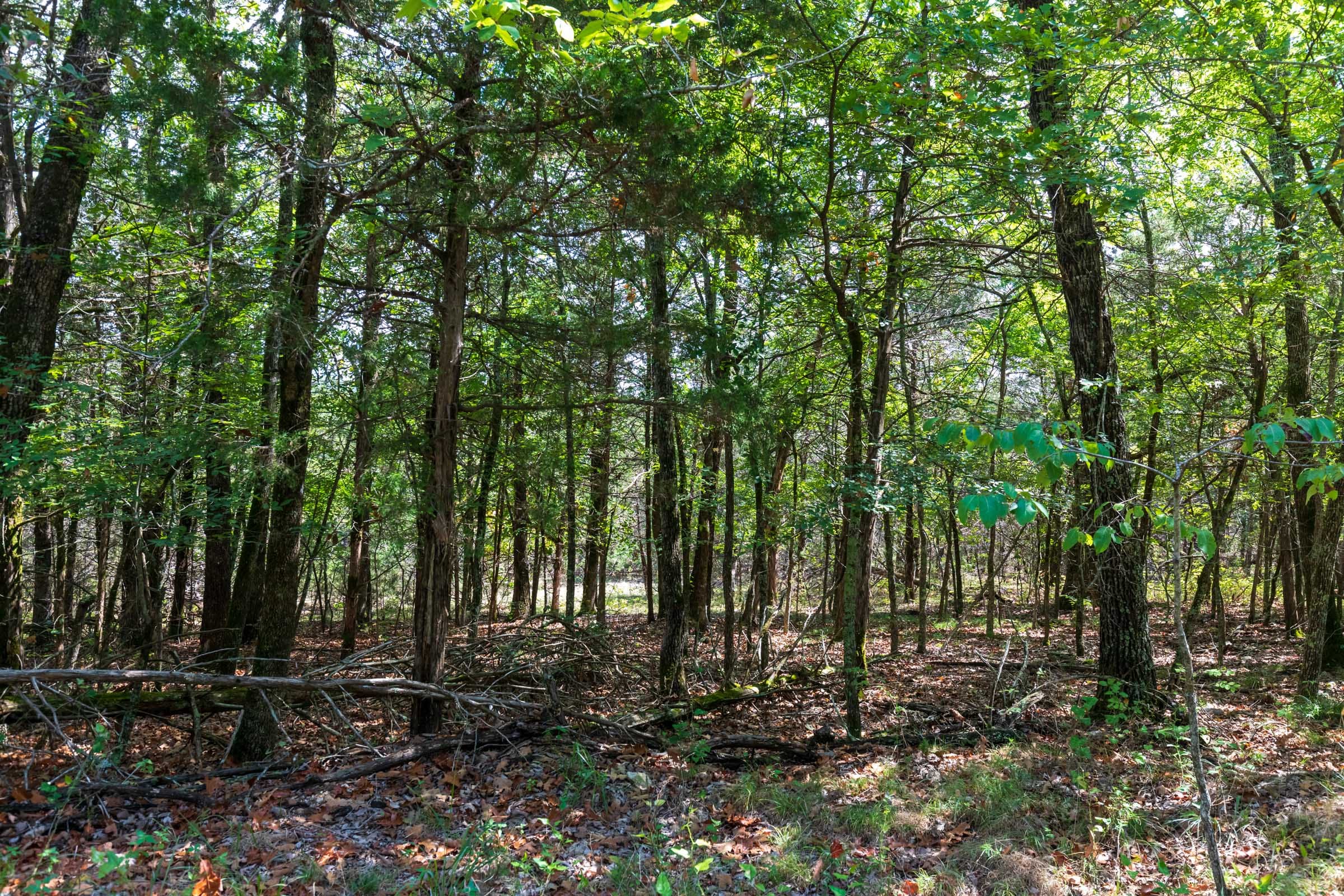 Heritage Bend Tract 30 photo 13