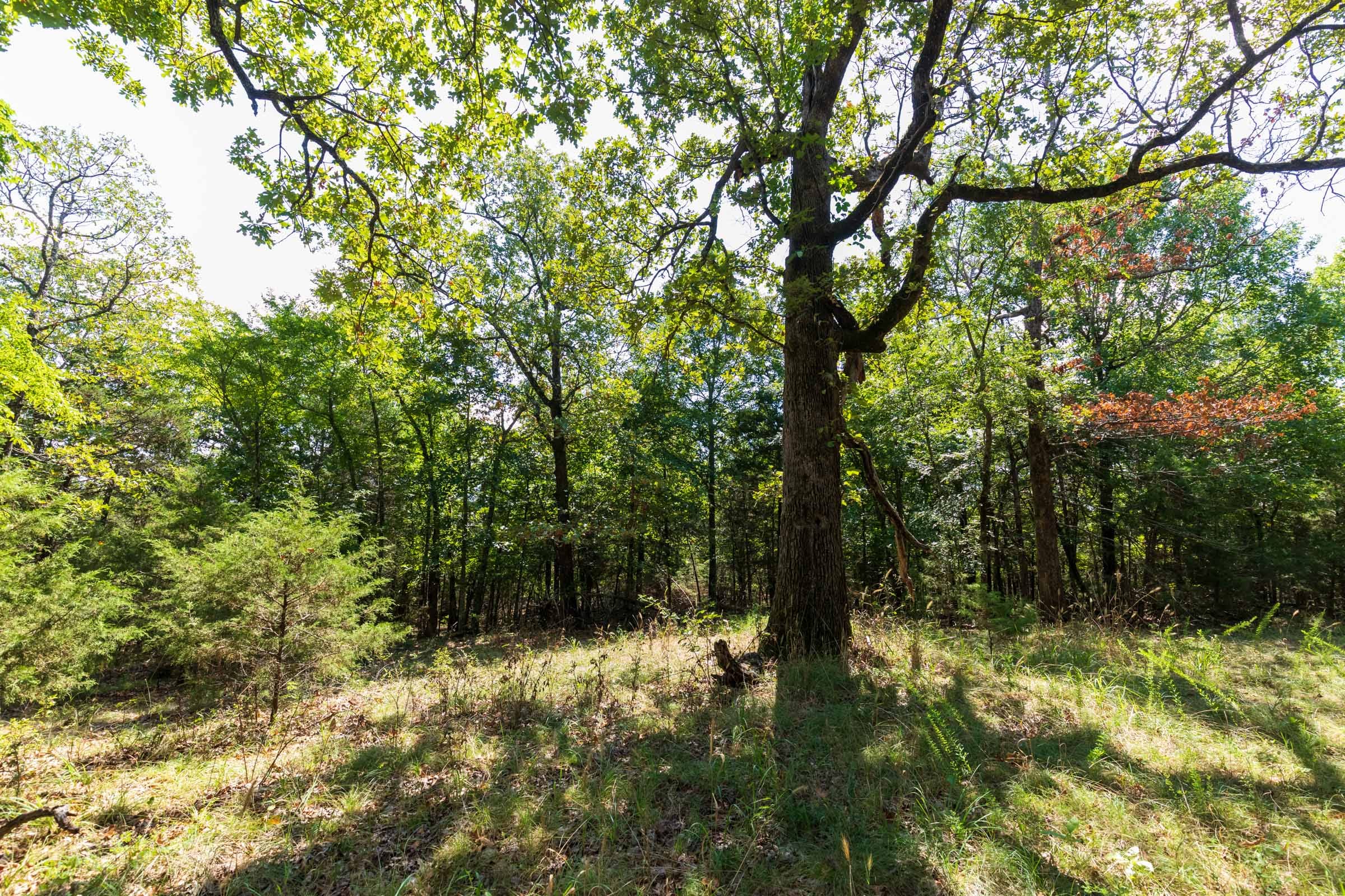 Heritage Bend Tract 30 photo 15