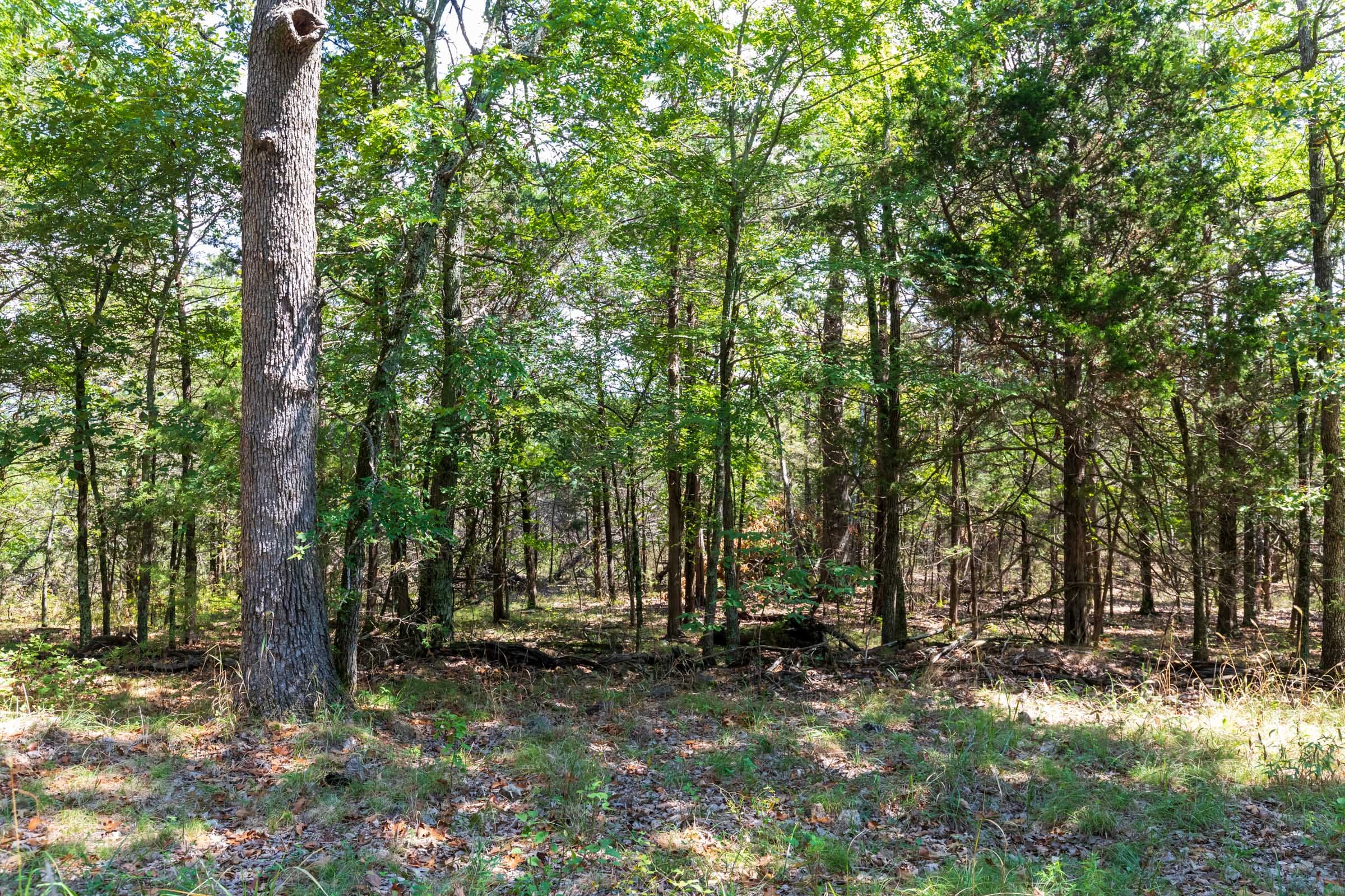 Heritage Bend Tract 30 photo 16