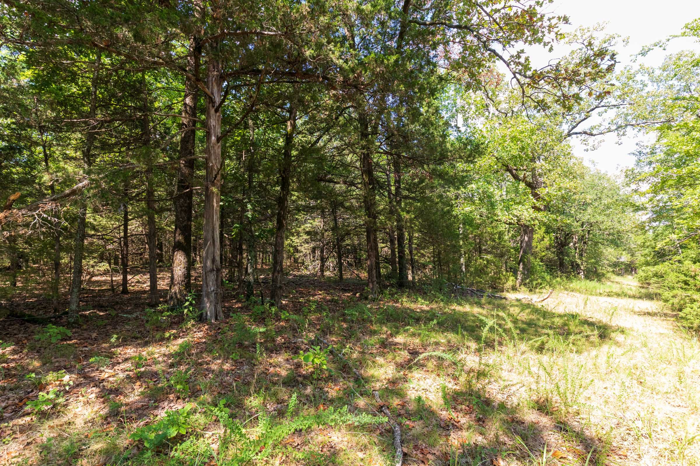 Heritage Bend Tract 30 photo 17