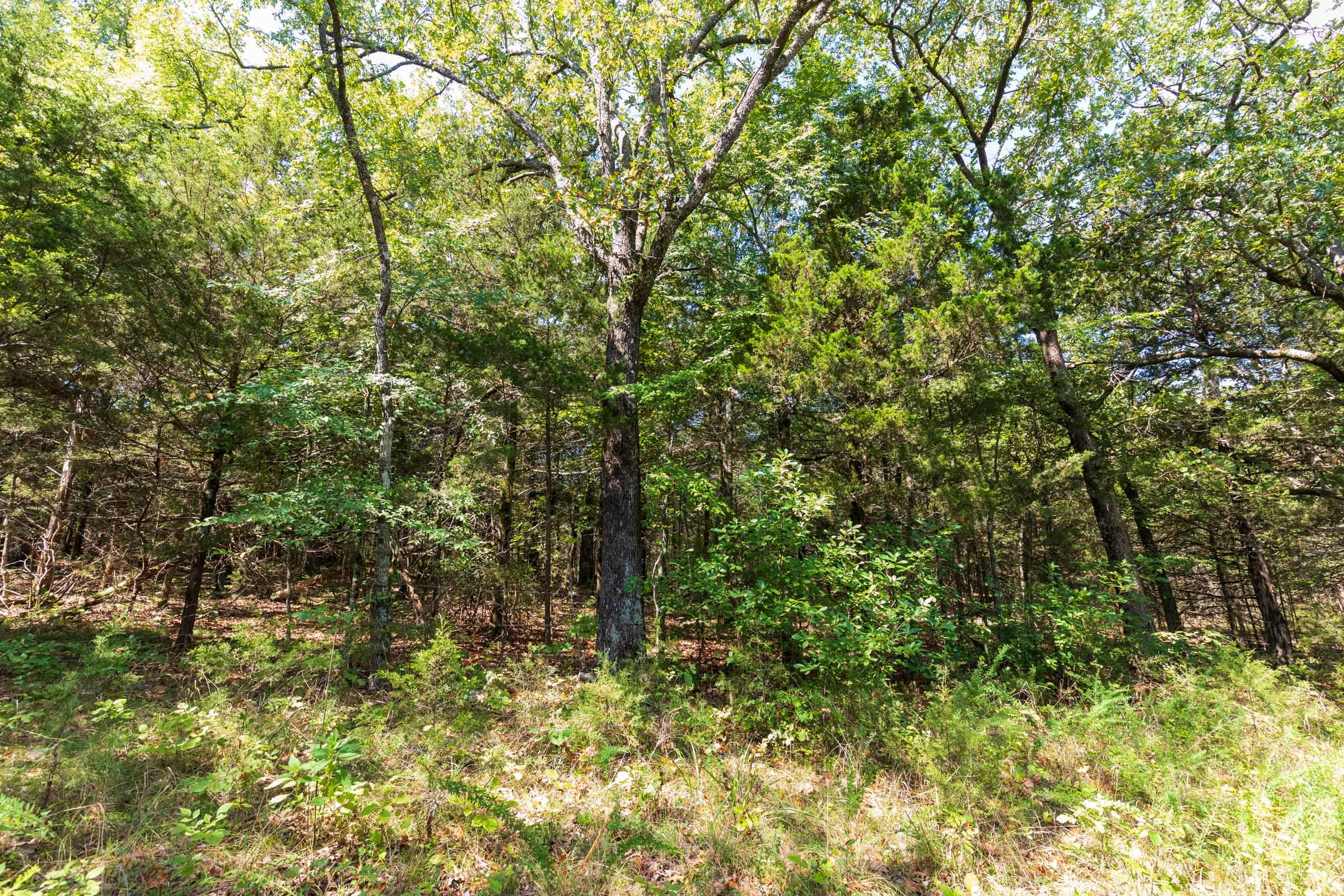Heritage Bend Tract 30 photo 19