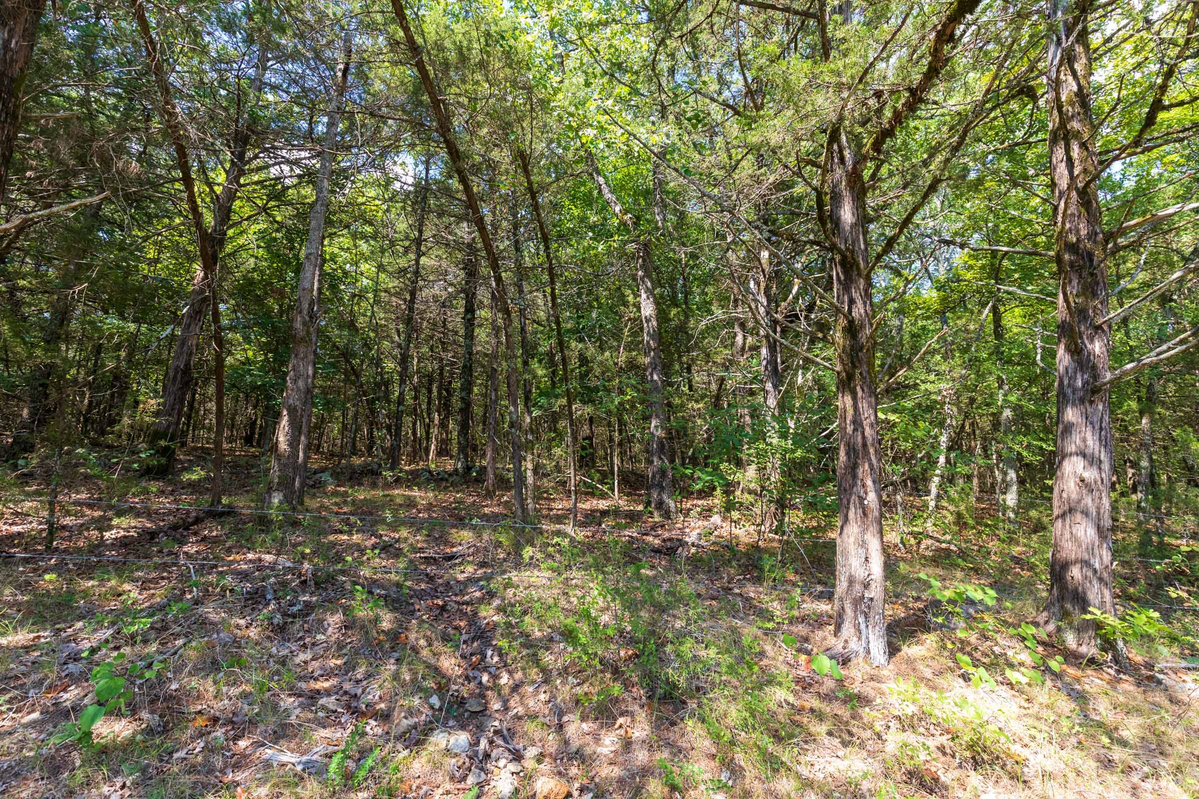 Heritage Bend Tract 30 photo 20