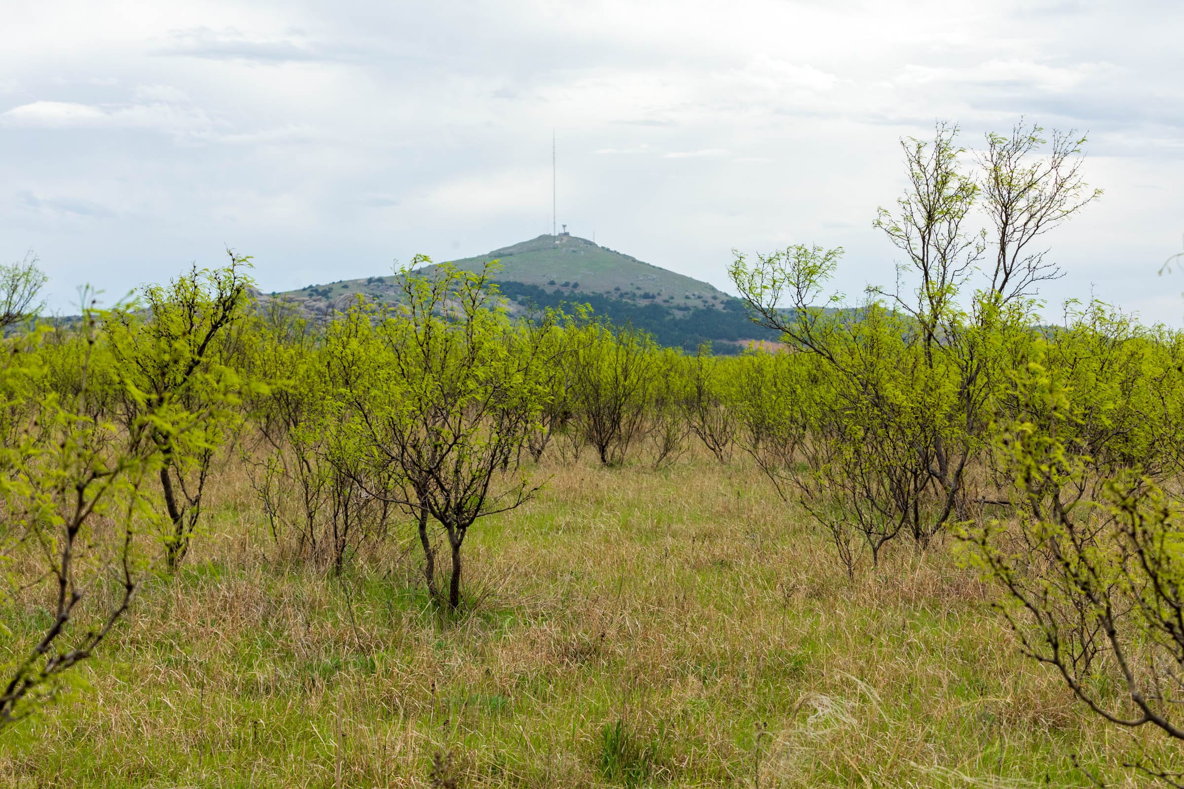 Granite Valley Tract 1 photo 9