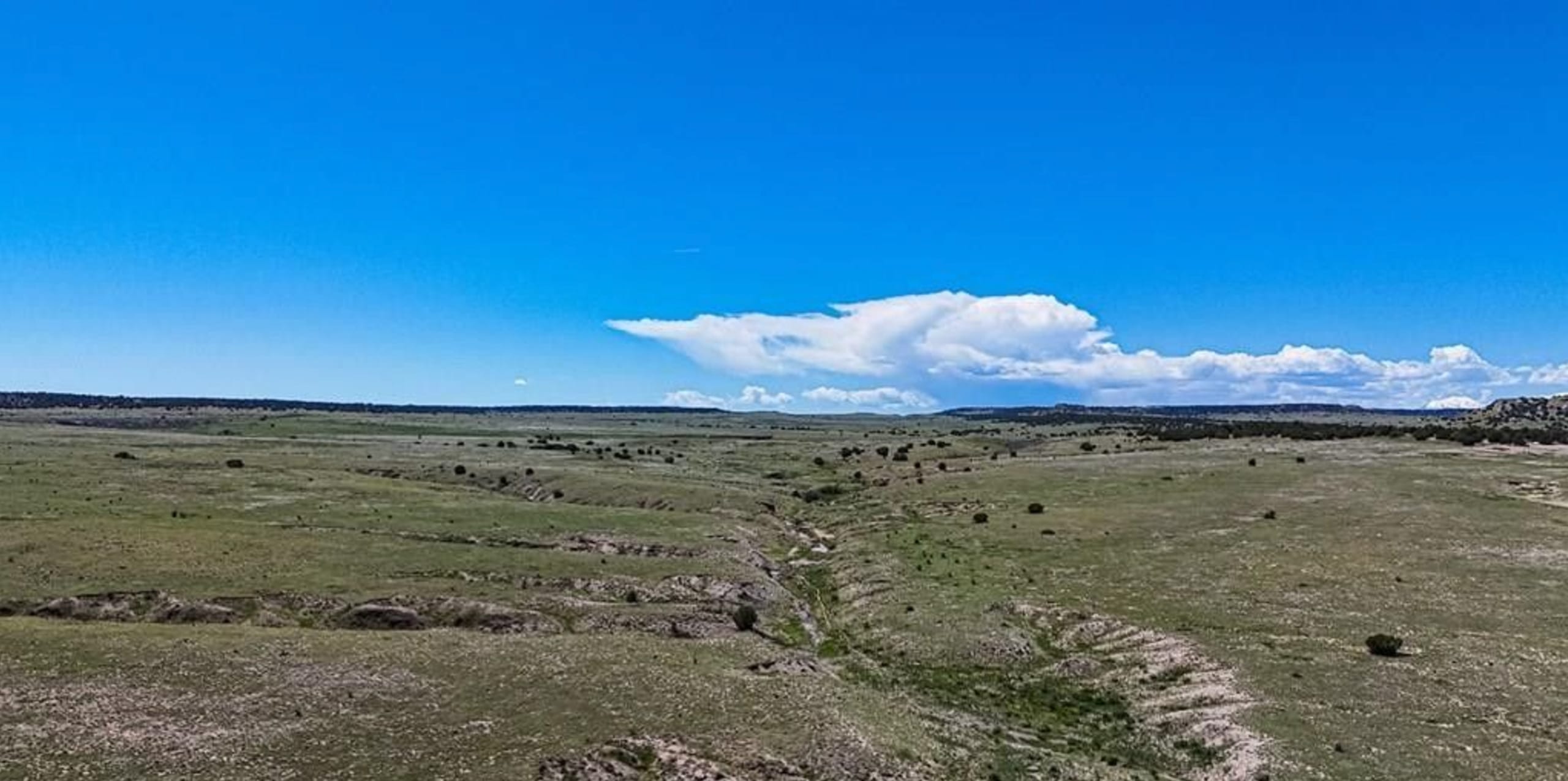 Colorado City Tract 561 photo 1