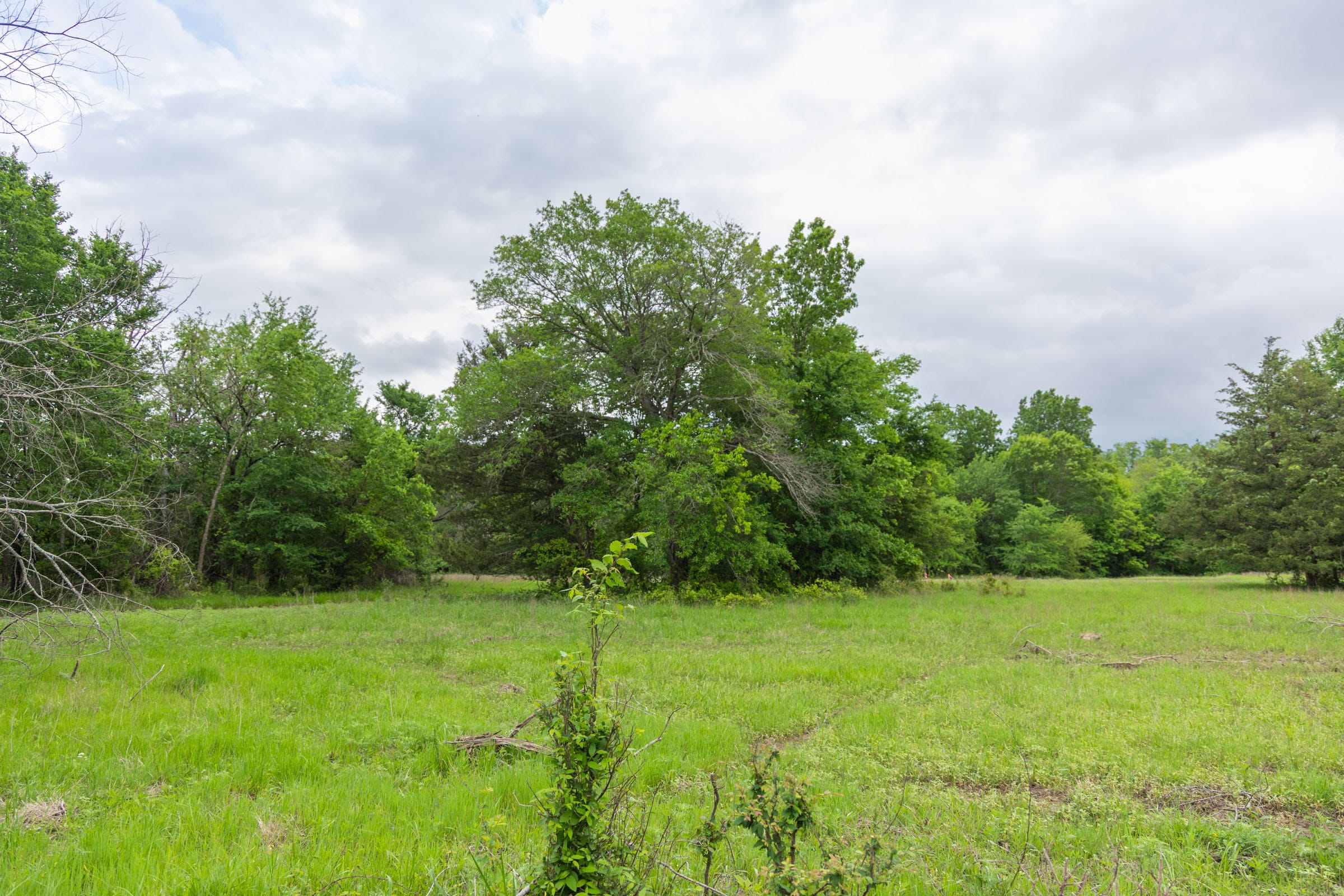 Harmony Hills Tract 31 photo 6