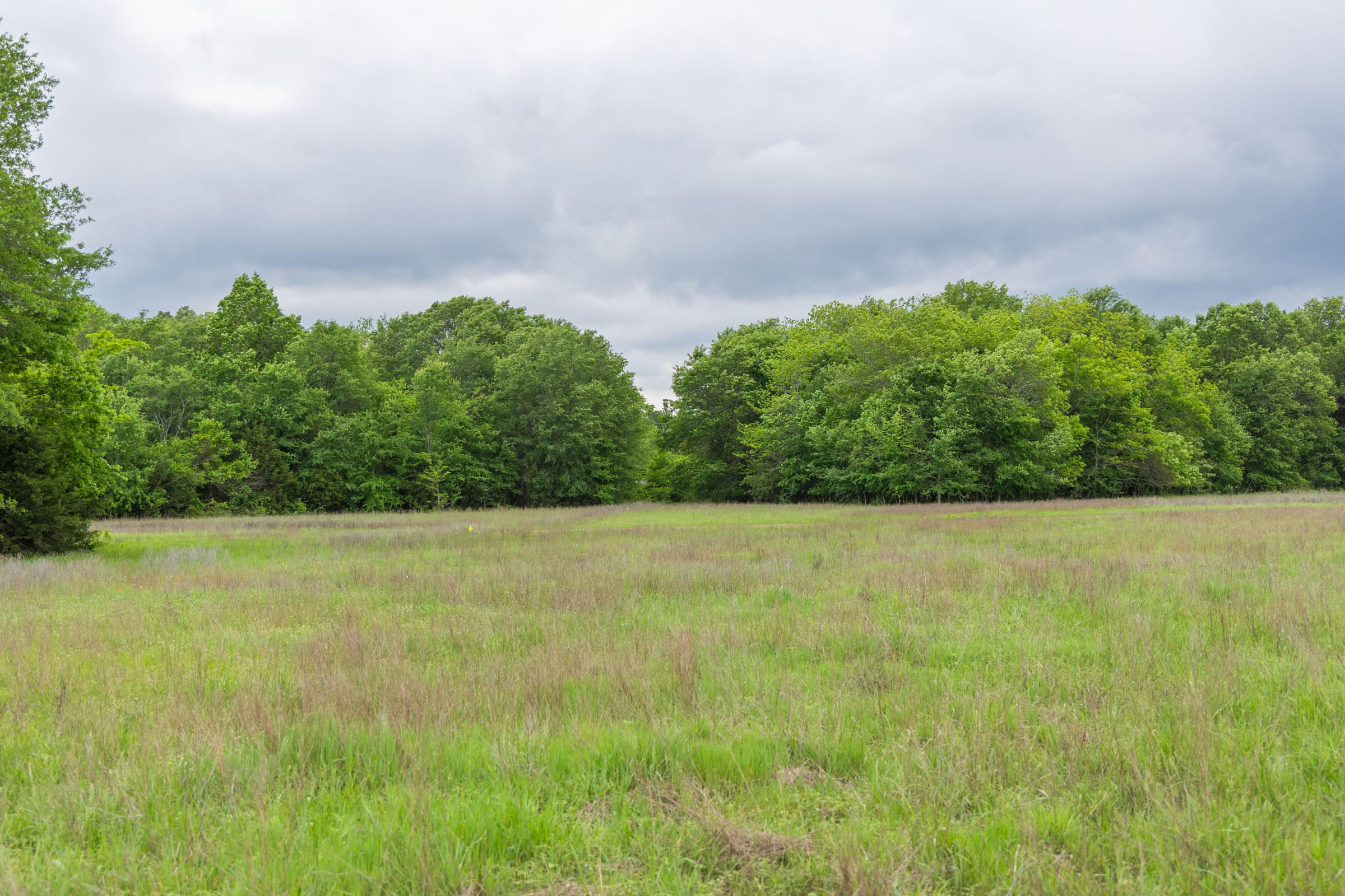 Harmony Hills Tract 31 photo 13