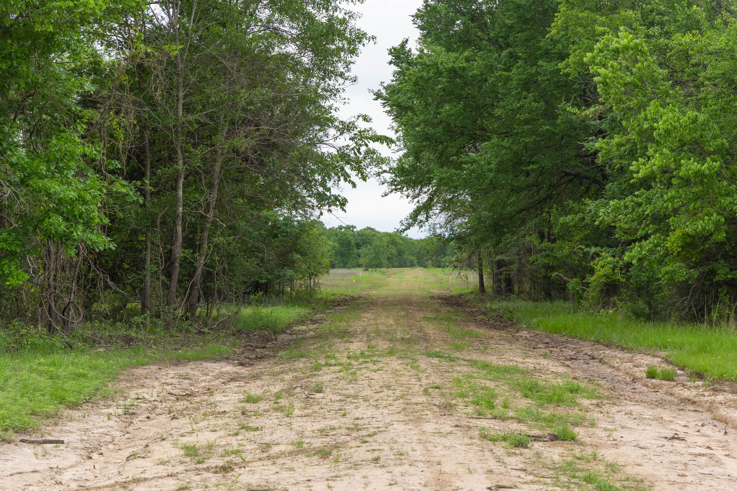 Harmony Hills Tract 31 photo 7