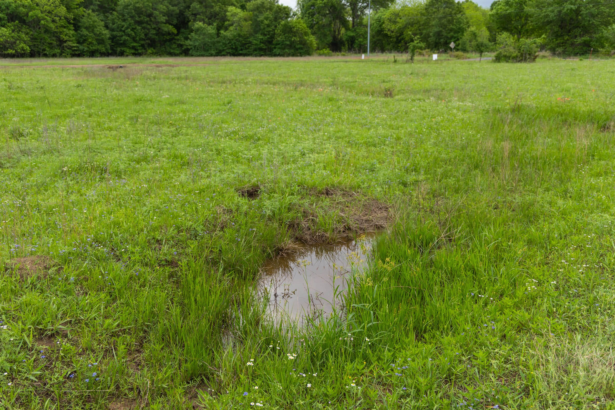 Harmony Hills Tract 31 photo 5