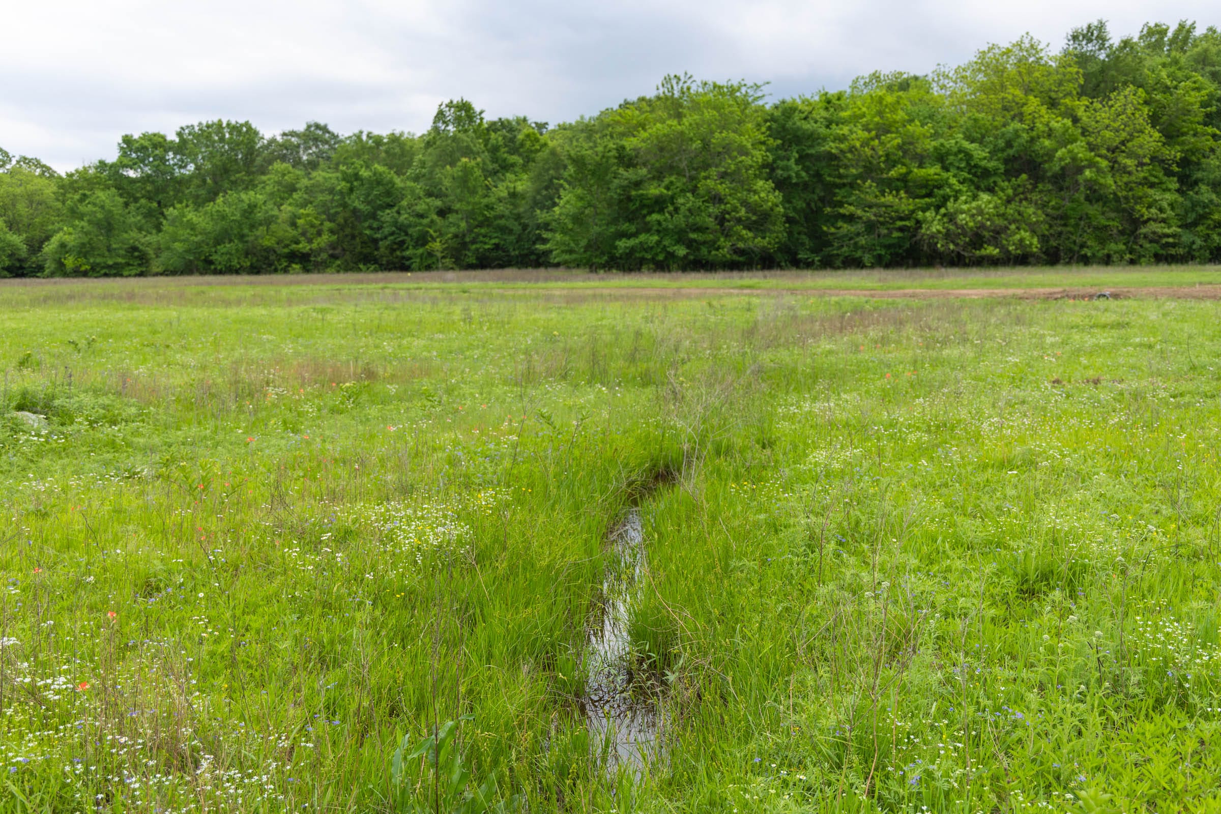 Harmony Hills Tract 31 photo 4