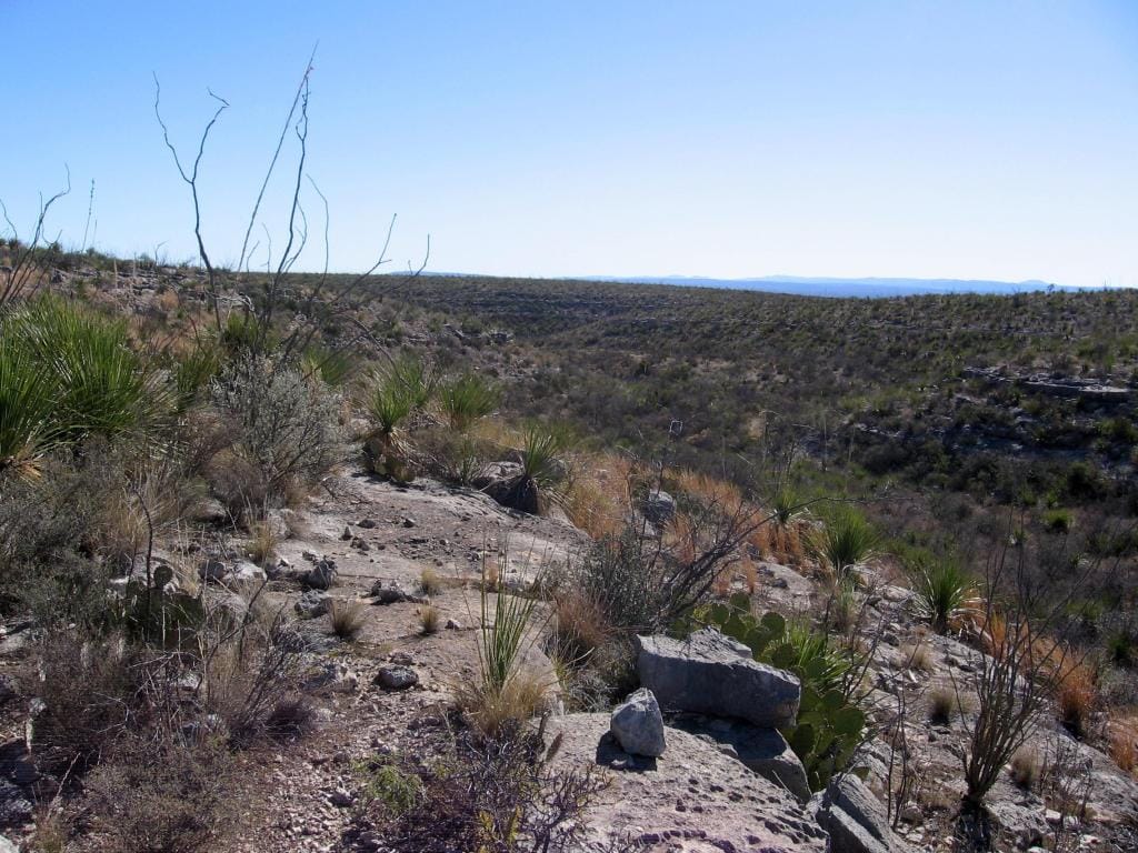 Panther Canyon Ranch Tract 4 photo 8