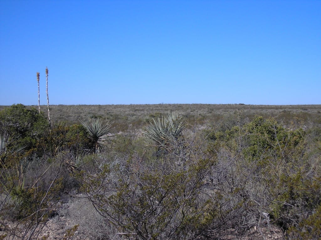 Panther Canyon Ranch Tract 4 photo 2