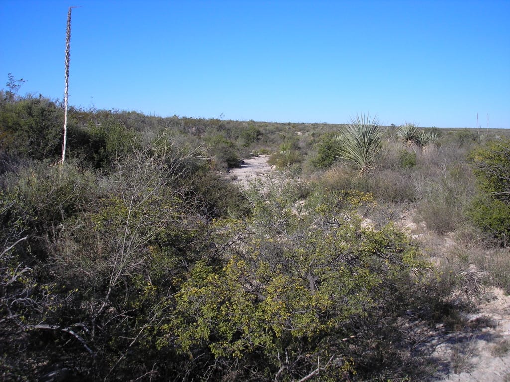 Panther Canyon Ranch Tract 4 photo 10