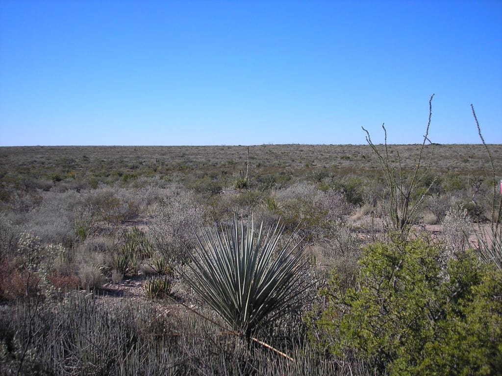 Panther Canyon Ranch Tract 4 photo 5