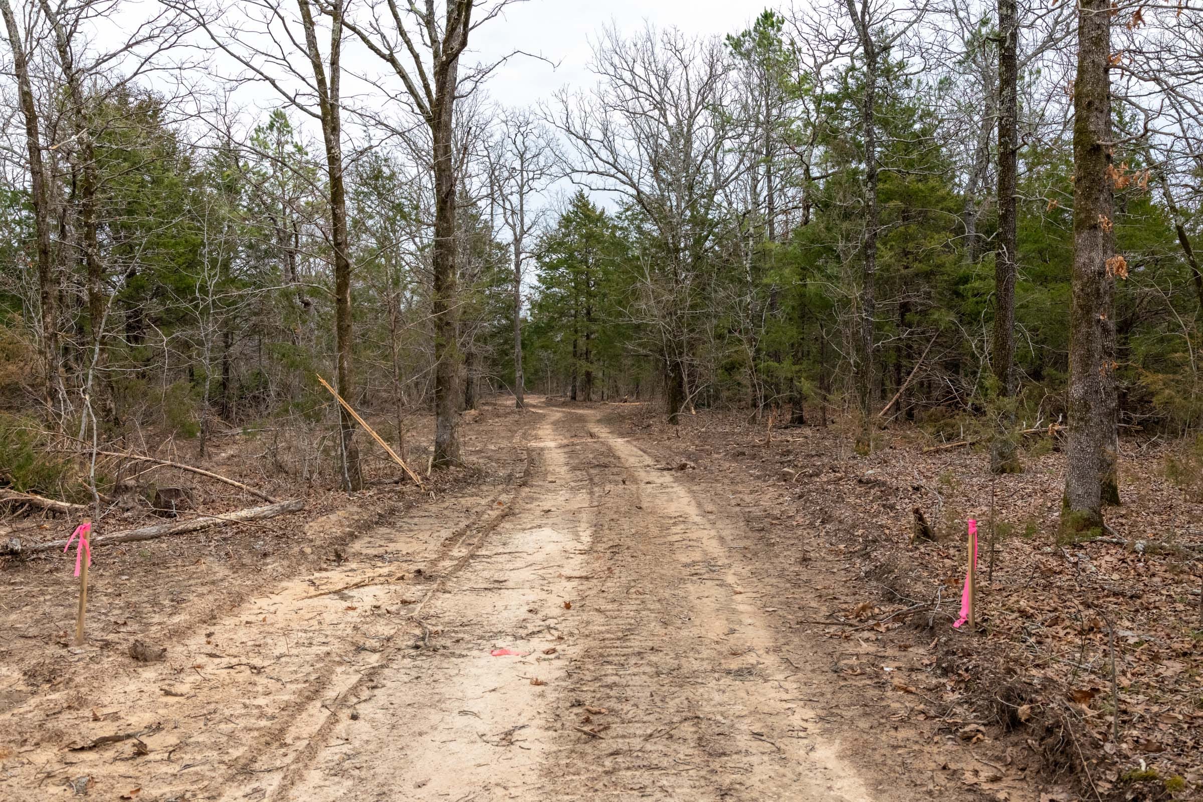 Stone Bridge Phase III Tract 170 photo 1
