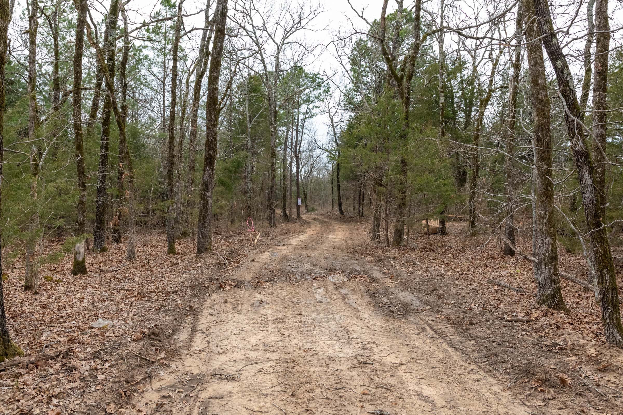 Stone Bridge Phase III Tract 170 photo 4