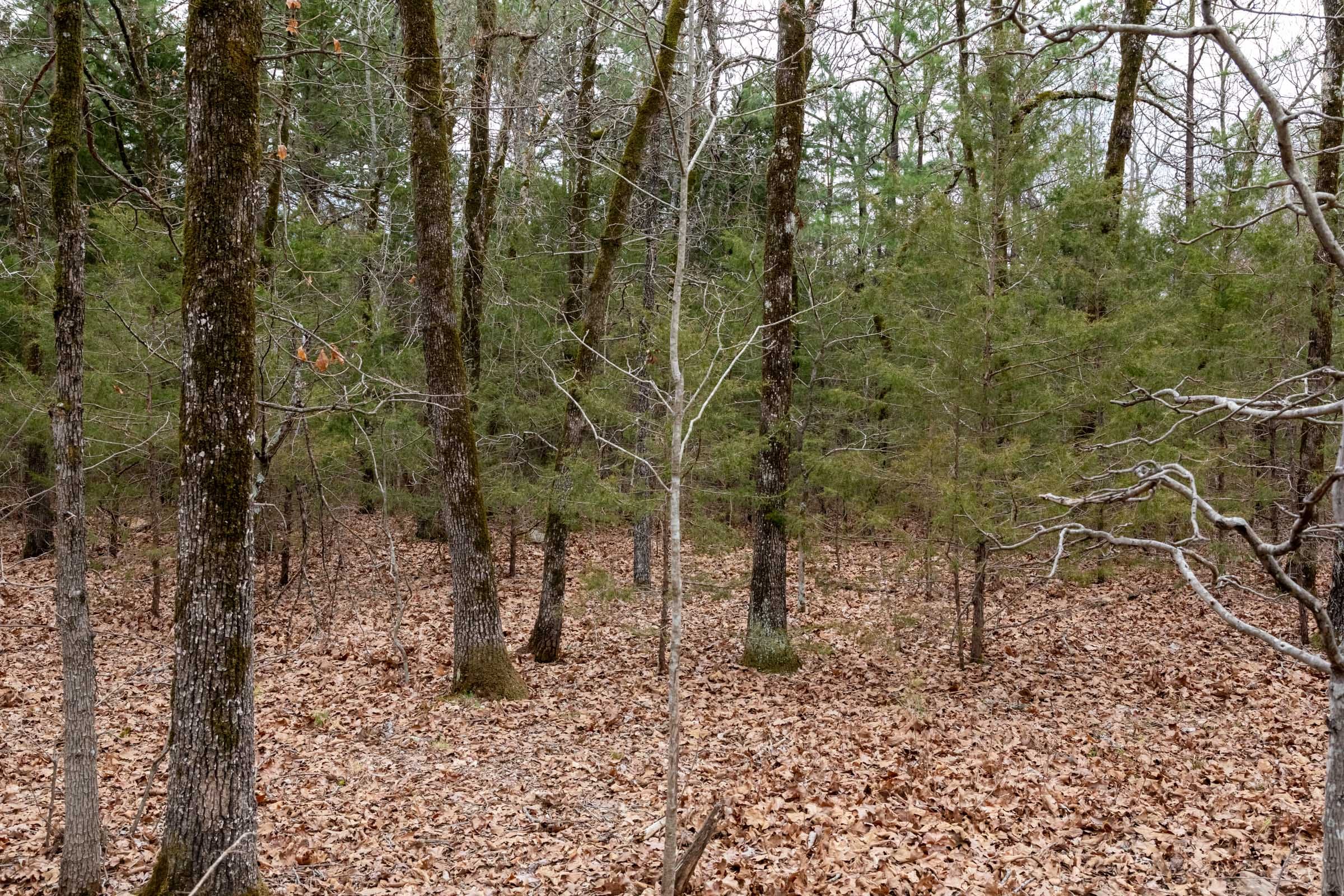 Stone Bridge Phase III Tract 170 photo 5