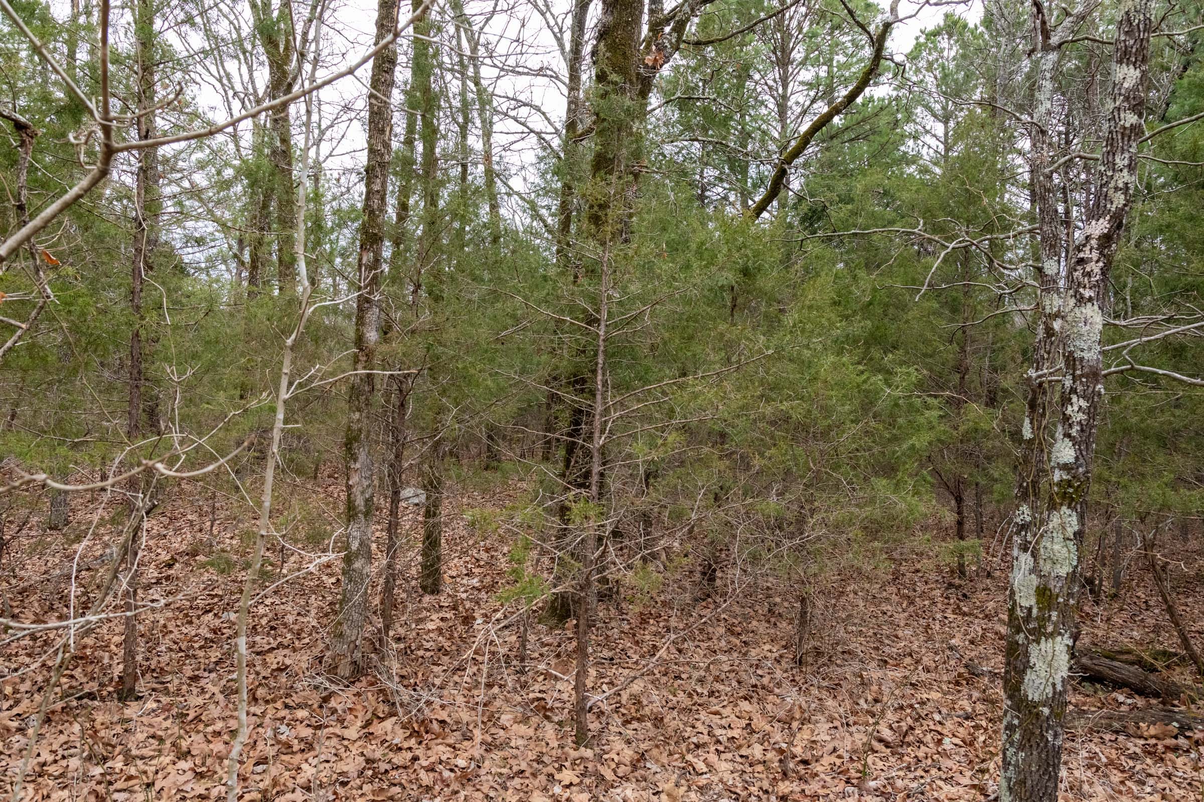 Stone Bridge Phase III Tract 170 photo 6