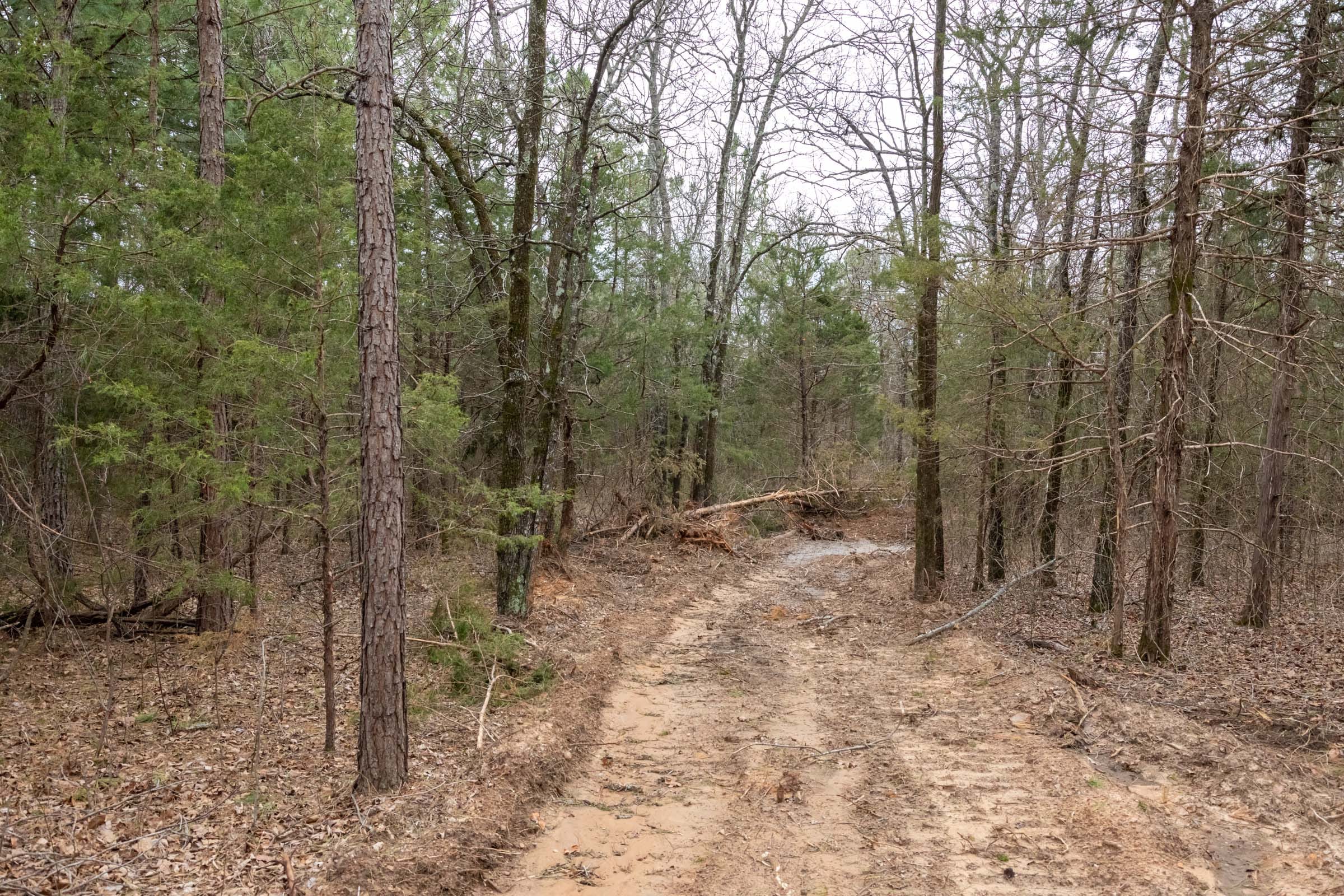 Stone Bridge Phase III Tract 170 photo 7