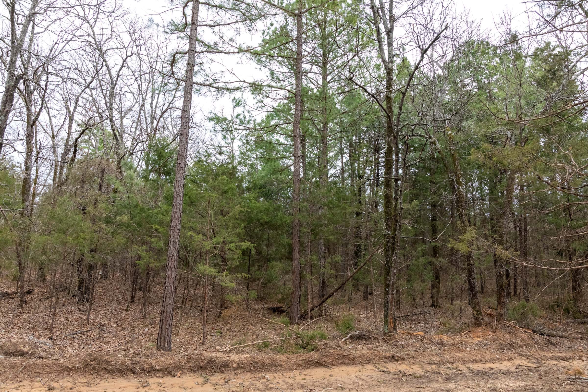 Stone Bridge Phase III Tract 170 photo 8