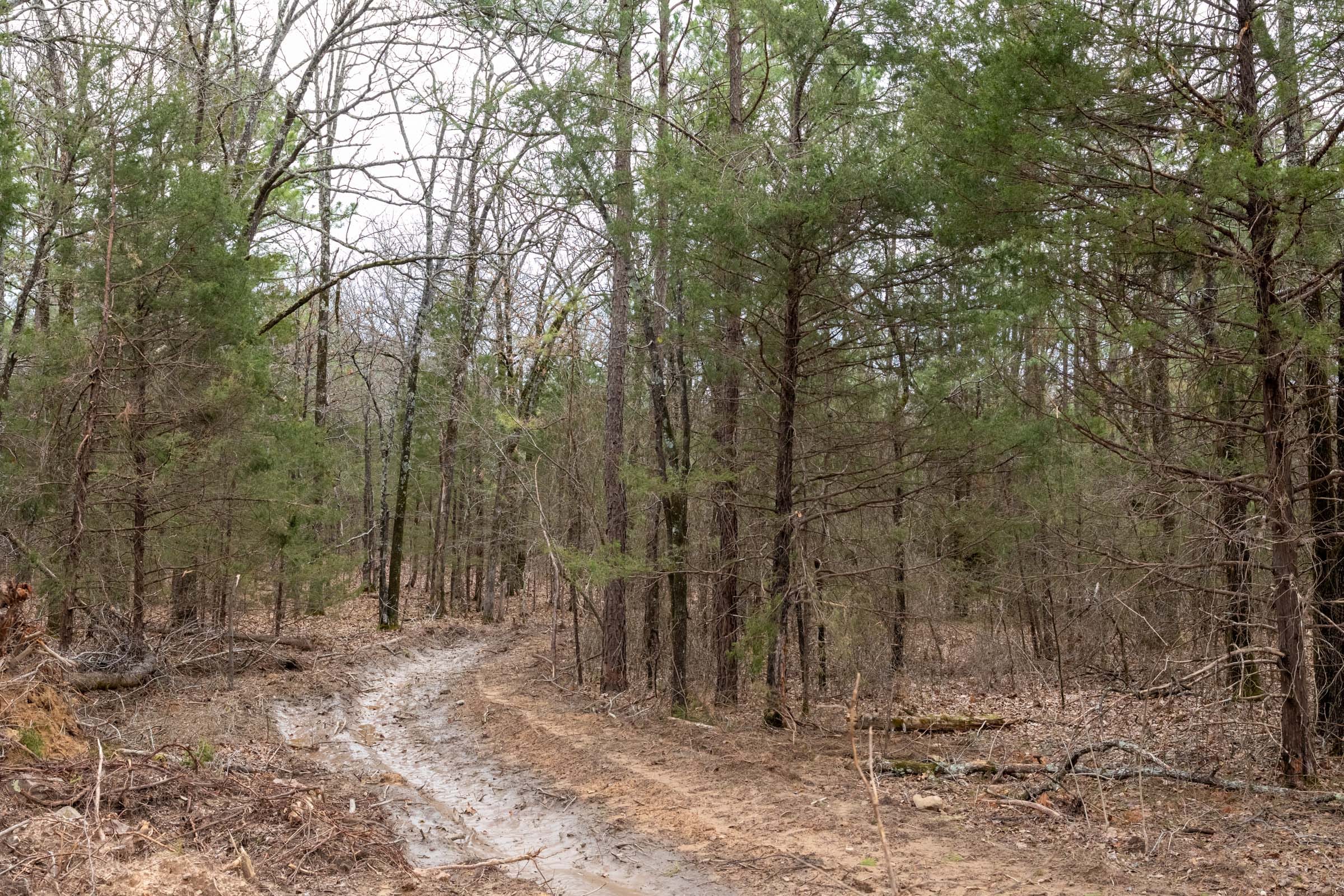 Stone Bridge Phase III Tract 170 photo 9