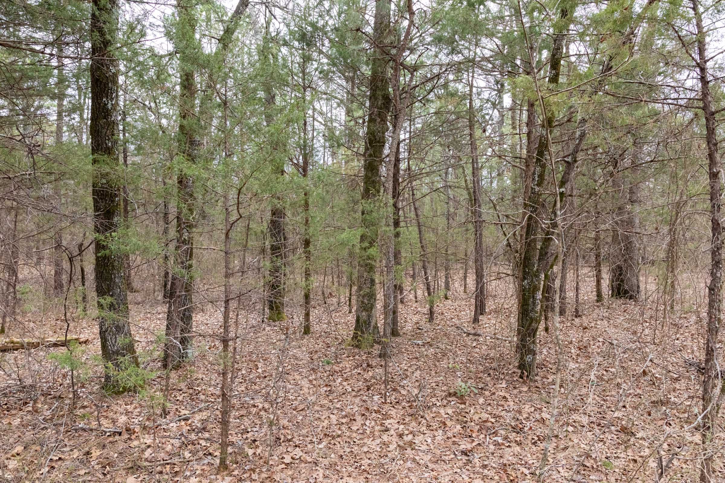 Stone Bridge Phase III Tract 170 photo 10