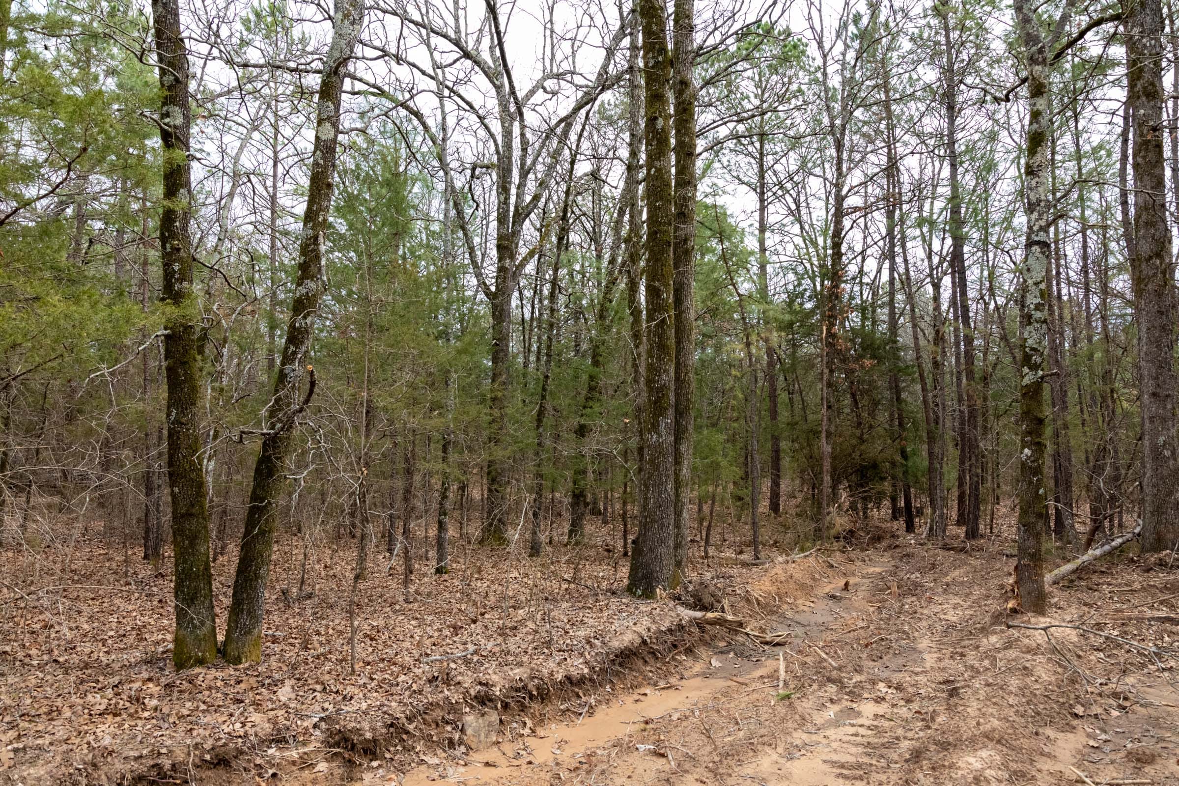 Stone Bridge Phase III Tract 170 photo 11