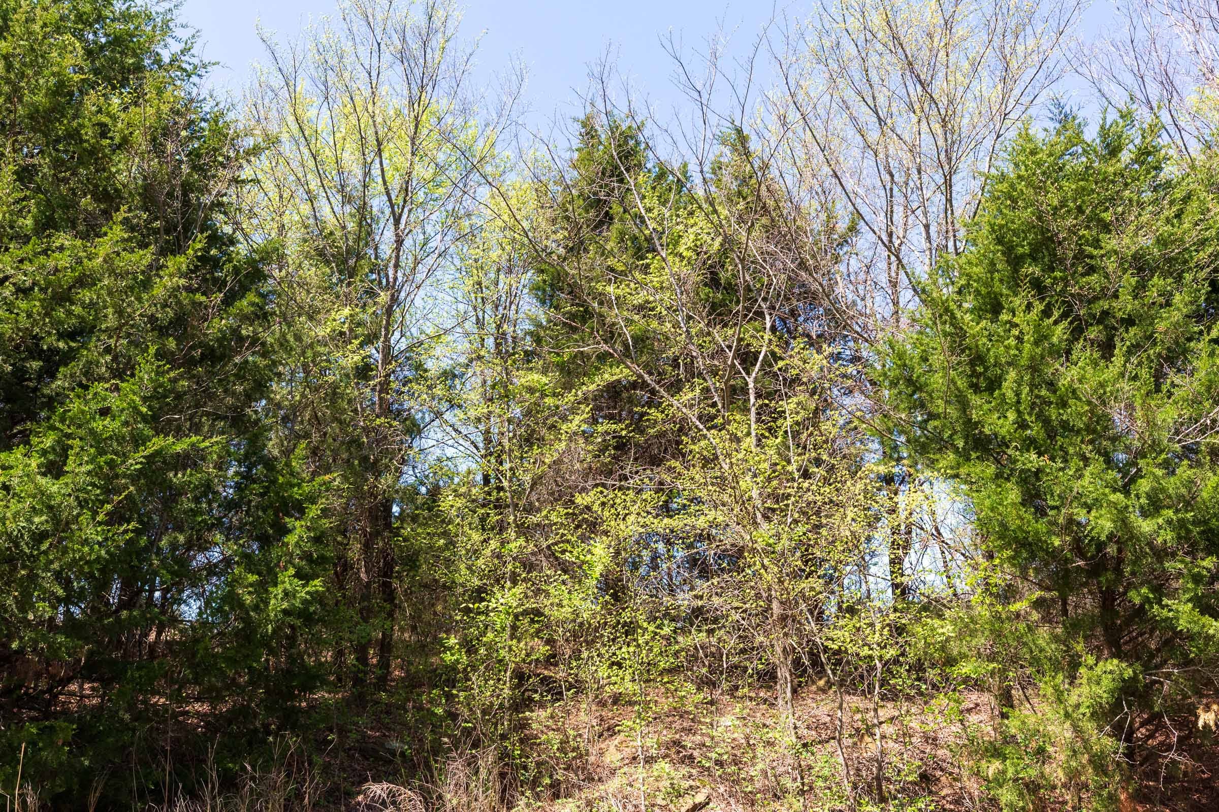 Prairie Grove Tract 13 photo 4