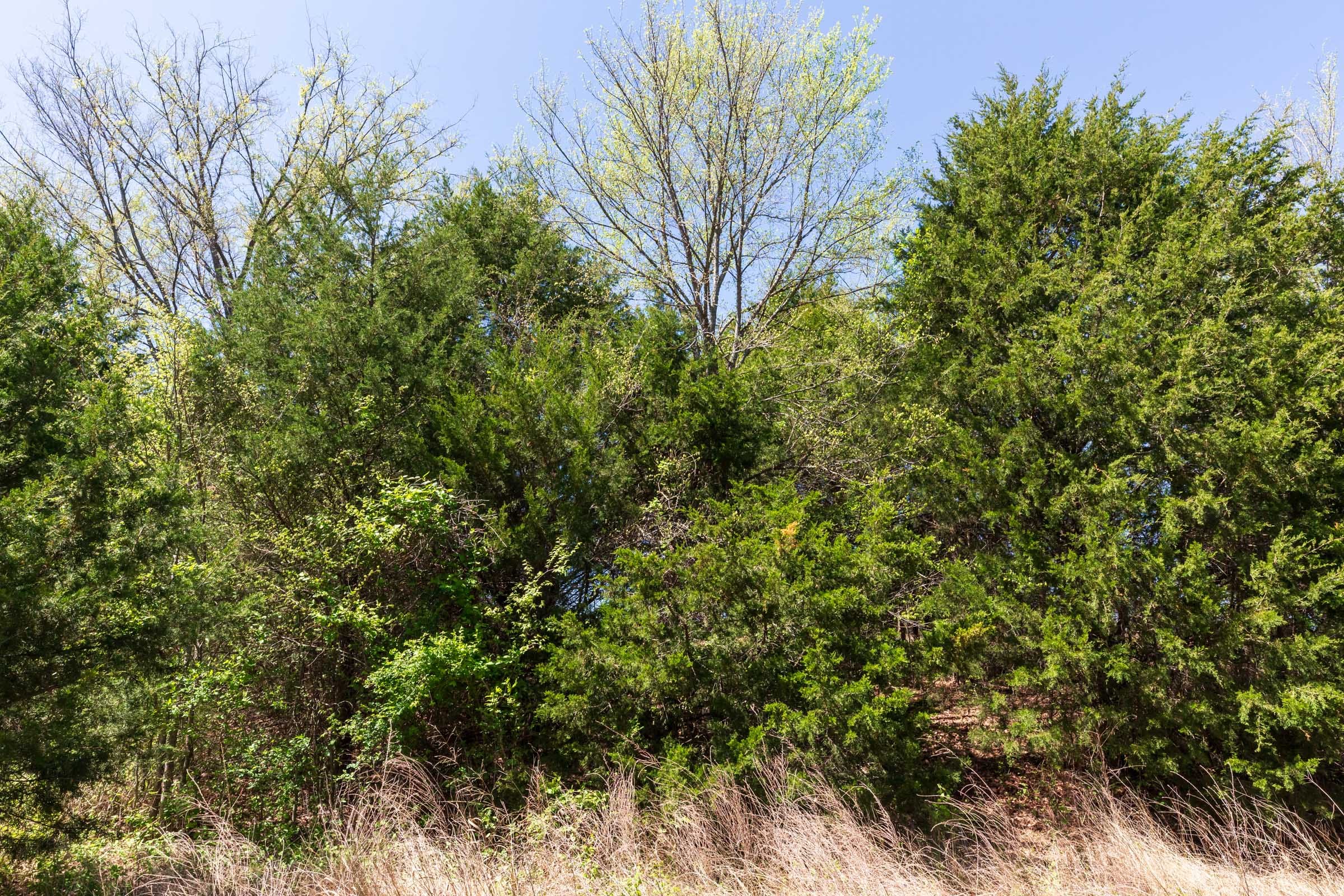 Prairie Grove Tract 13 photo 2