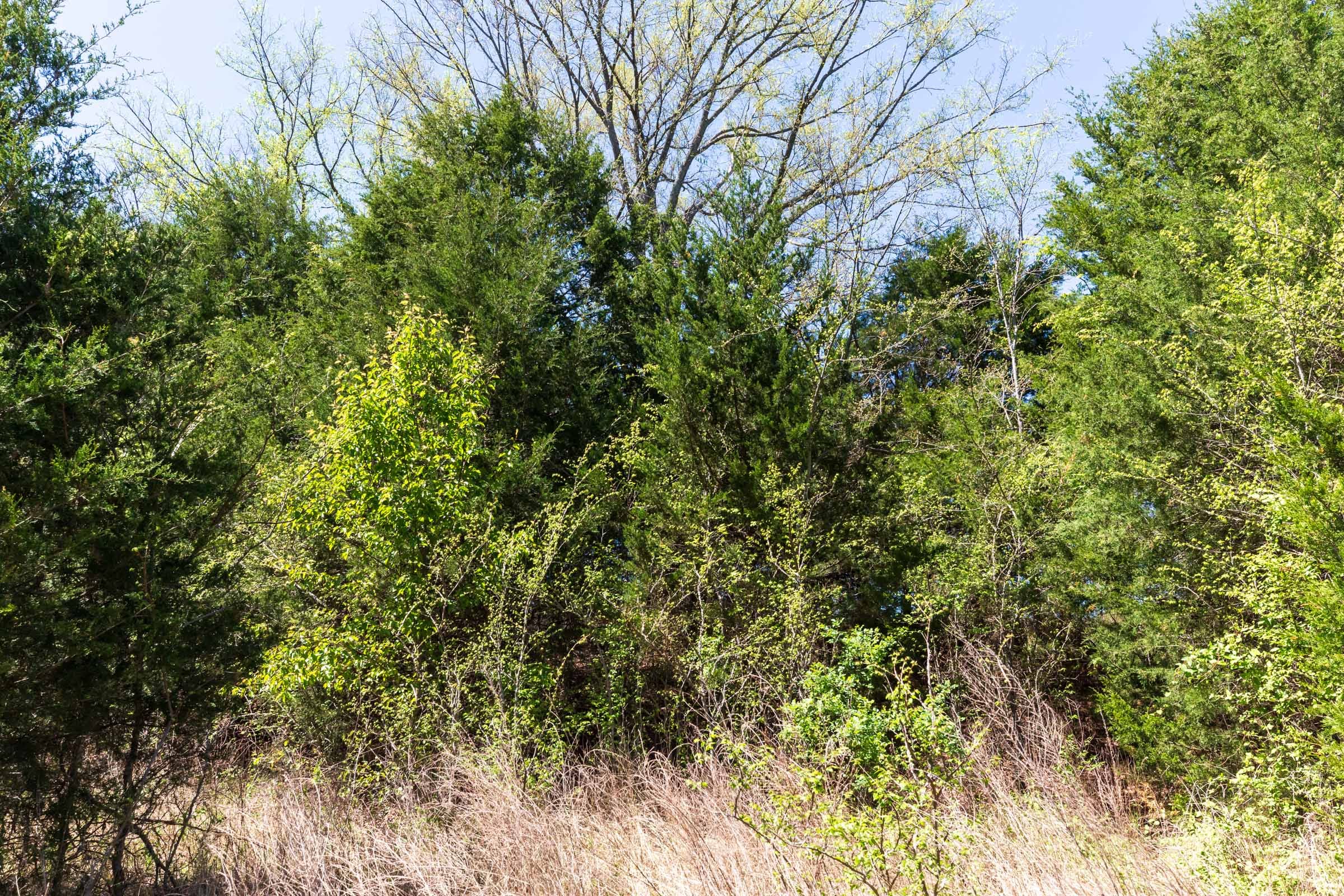 Prairie Grove Tract 13 photo 6