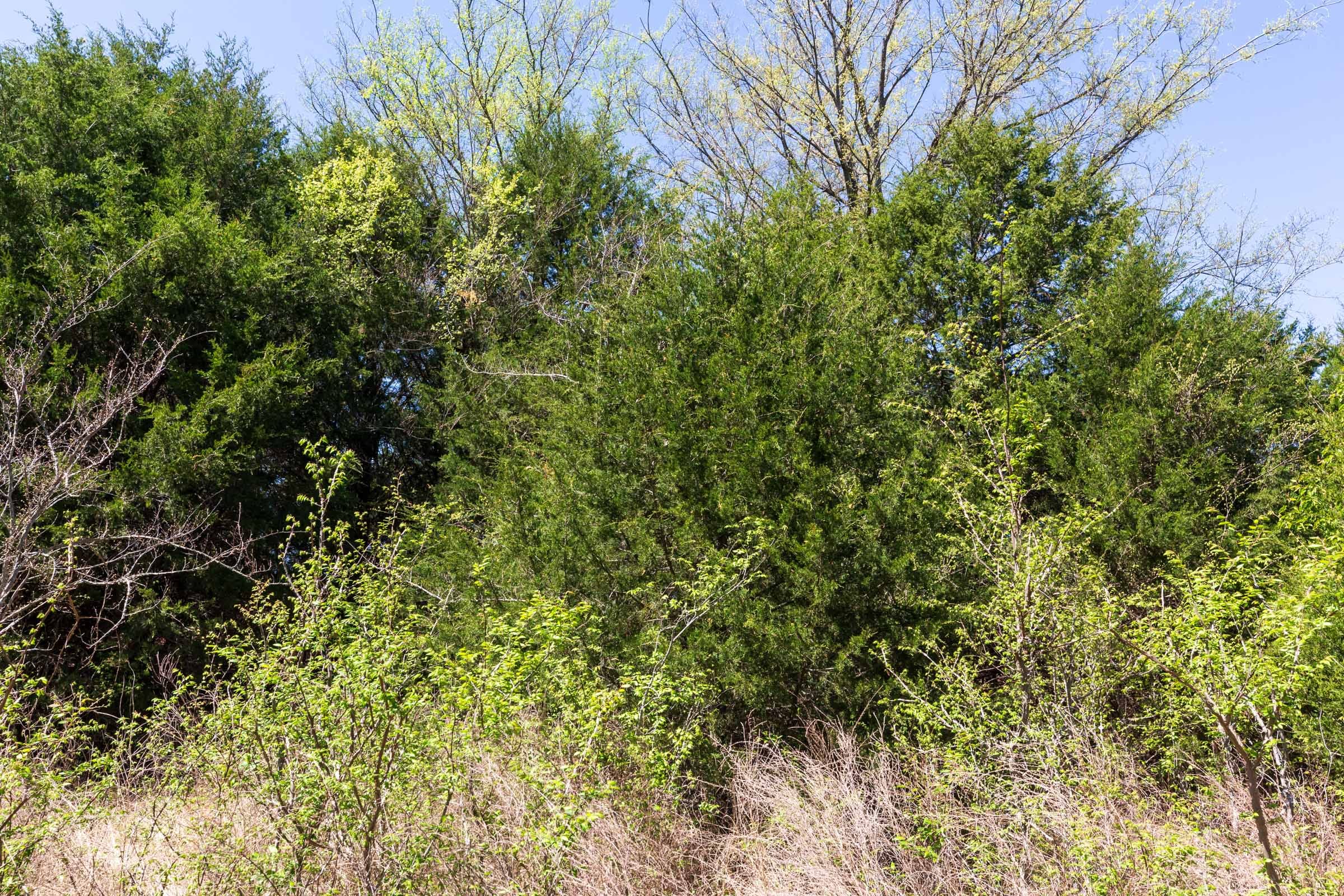 Prairie Grove Tract 13 photo 9