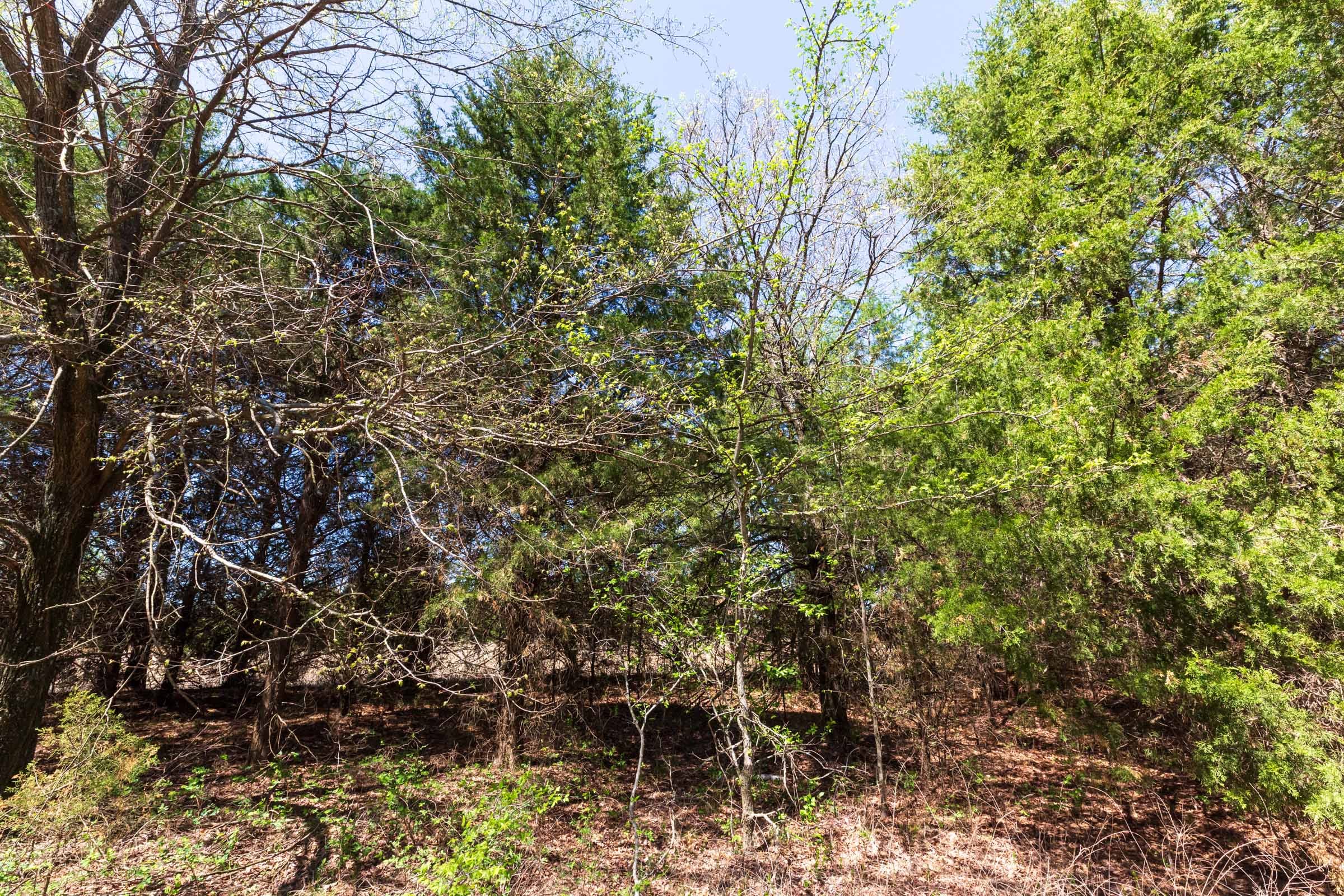 Prairie Grove Tract 13 photo 5