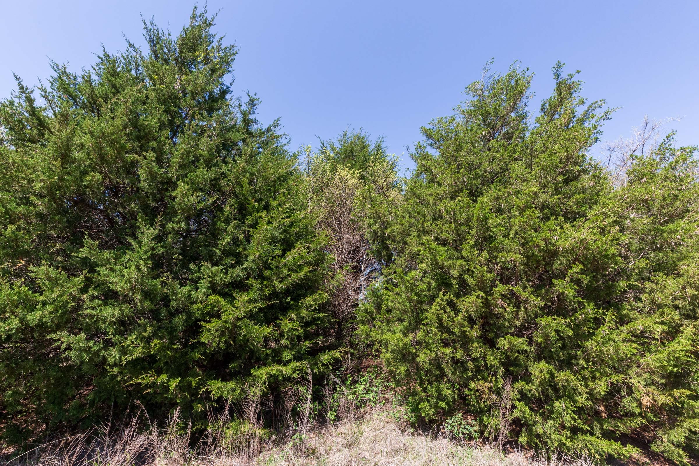 Prairie Grove Tract 13 photo 19