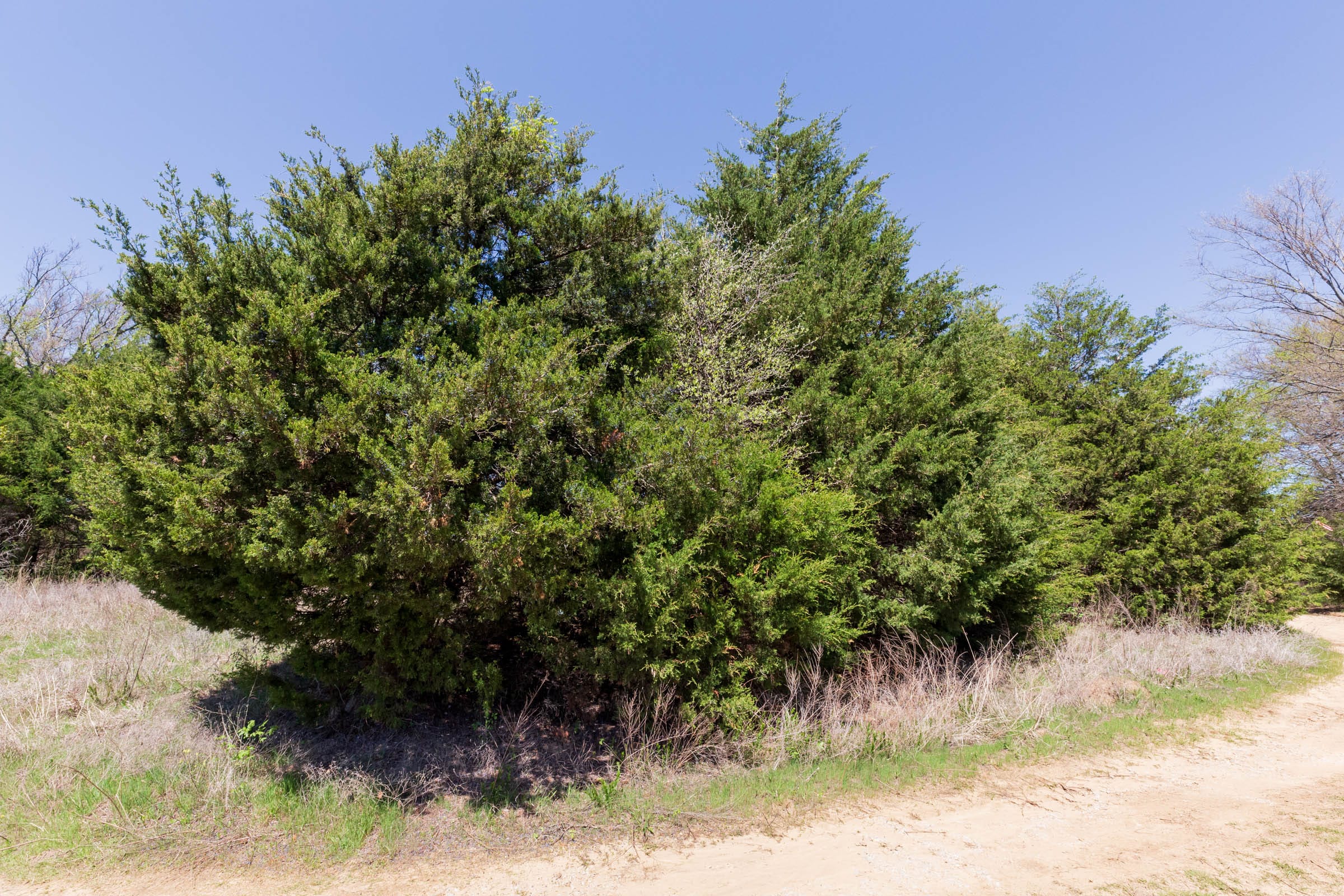Prairie Grove Tract 13 photo 15