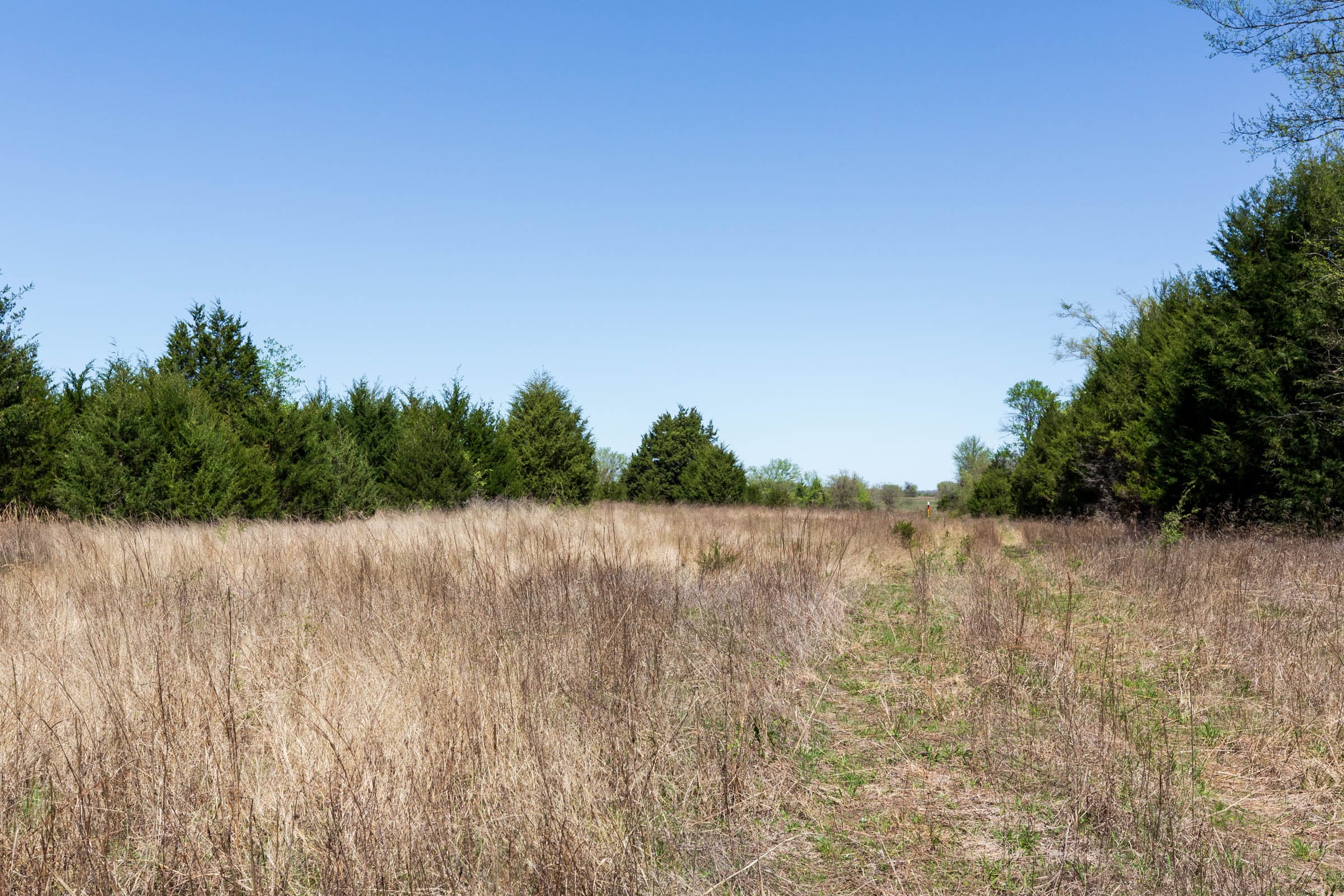 Prairie Grove Tract 13 photo 8